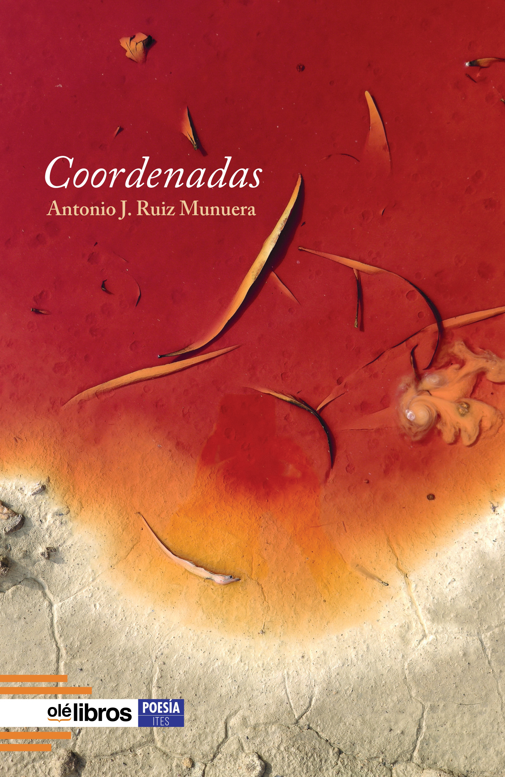 Coordenadas