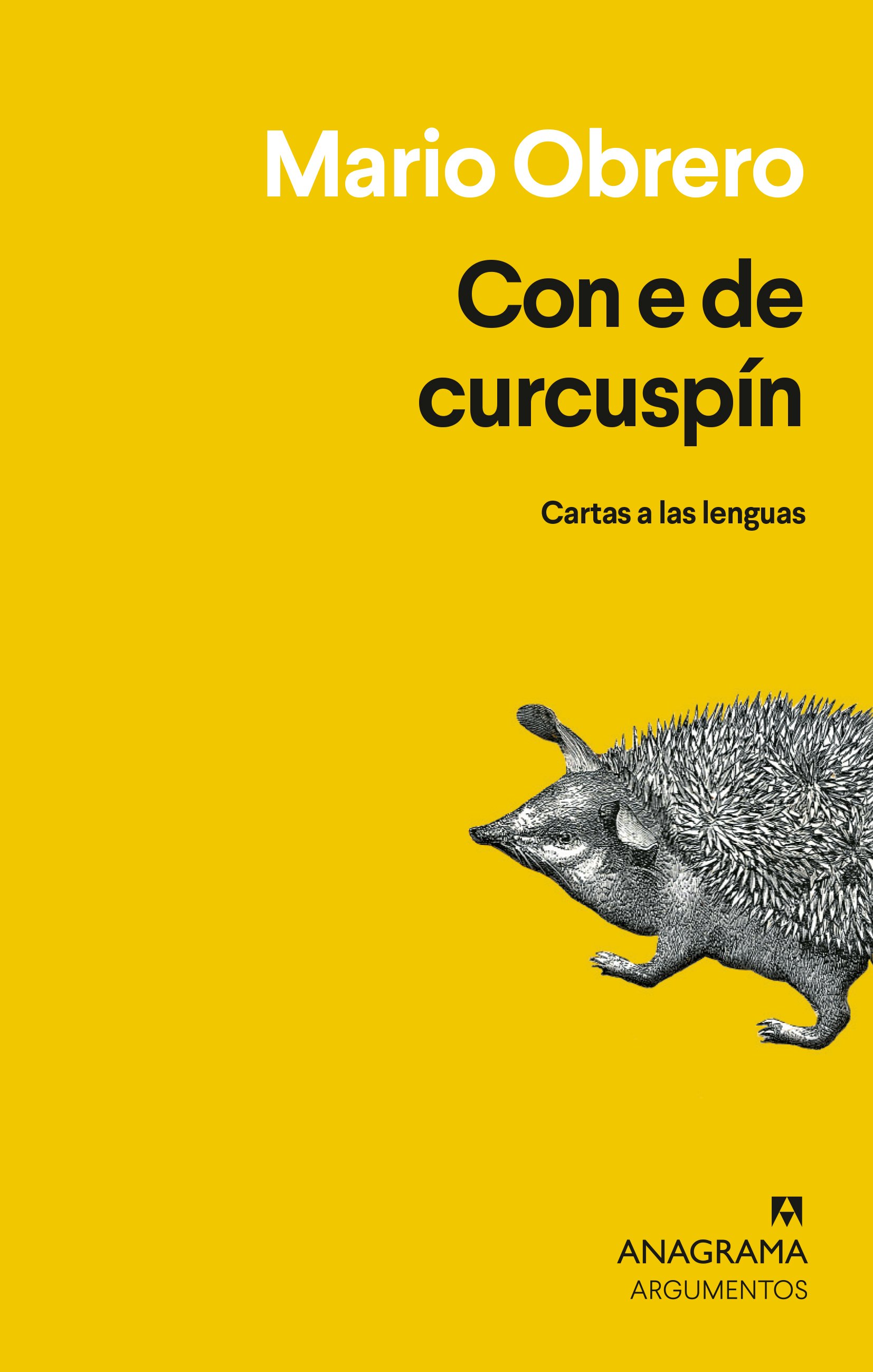 Con E de curcuspín