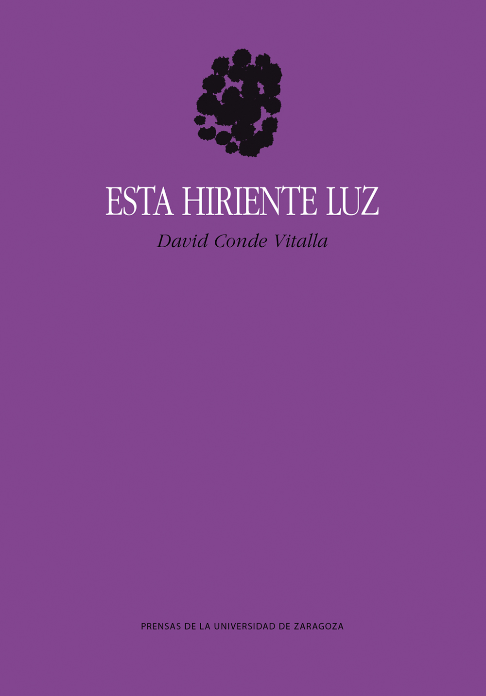 Esta hiriente luz