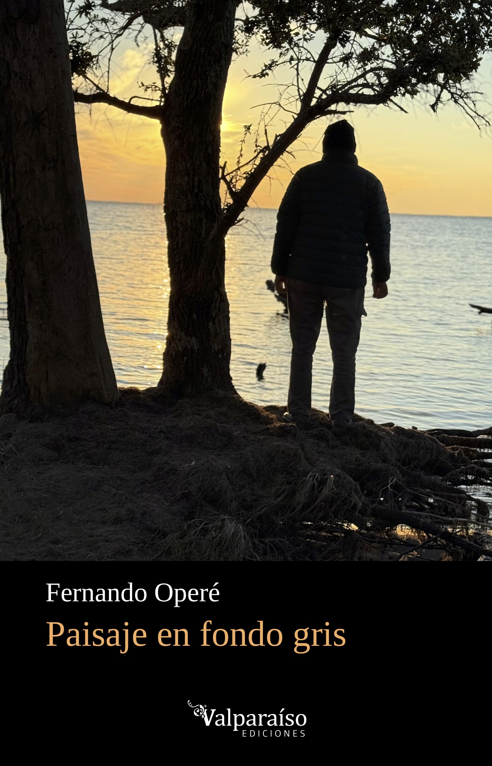 Paisaje en fondo gris