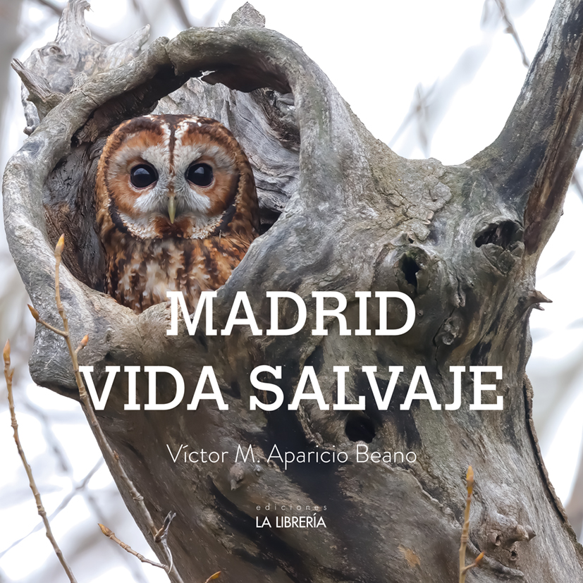 Madrid vida salvaje