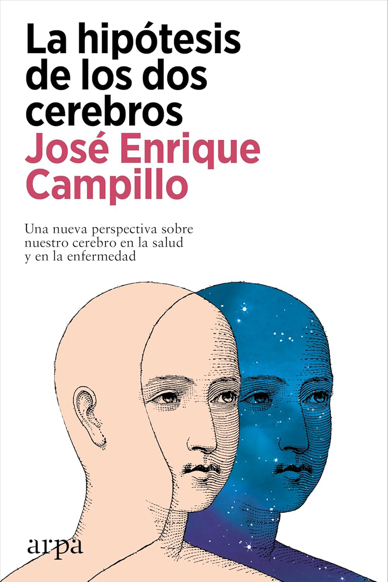 La hipótesis de los dos cerebros