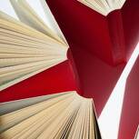 Sobre los libros de los famosos y la desvergüenza de las editoriales