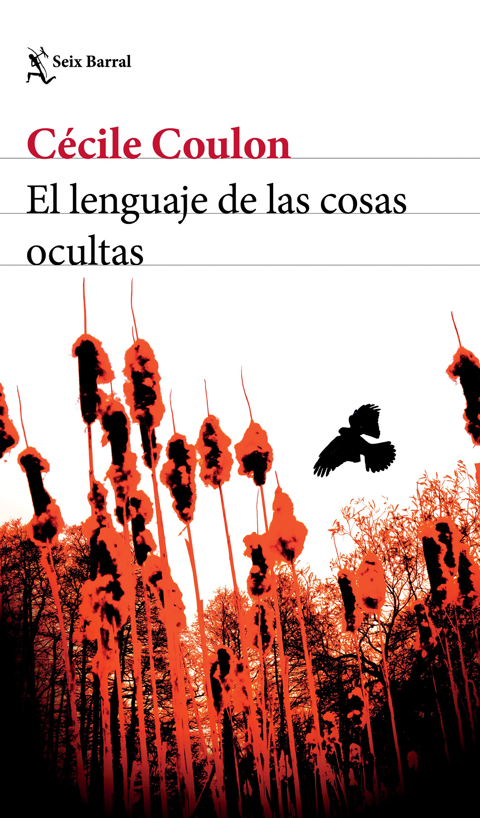 El lenguaje de las cosas ocultas
