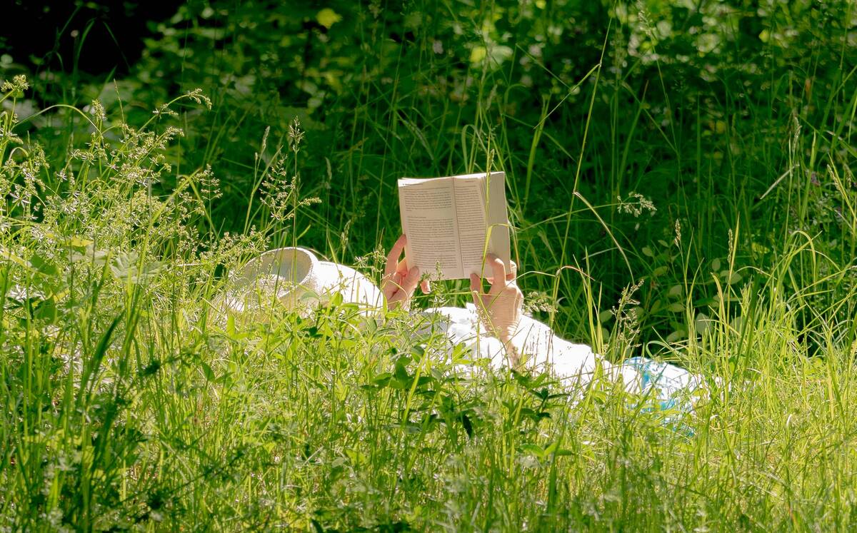 Los mejores libros que llegan en junio
