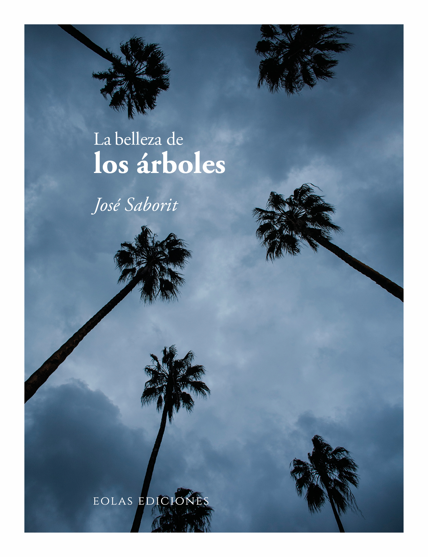 La belleza de los árboles