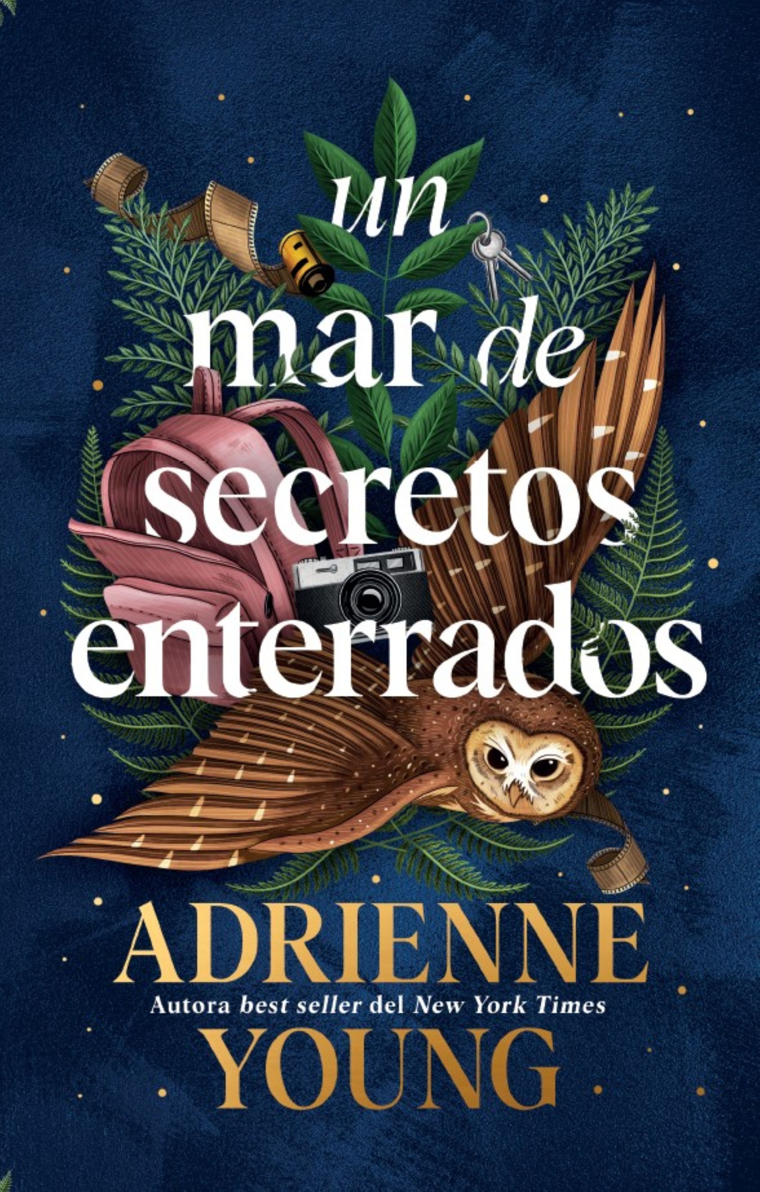 Un mar de secretos enterrados