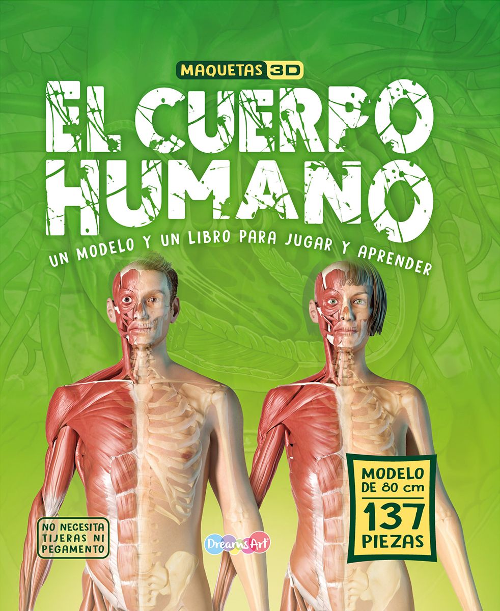 El cuerpo humano