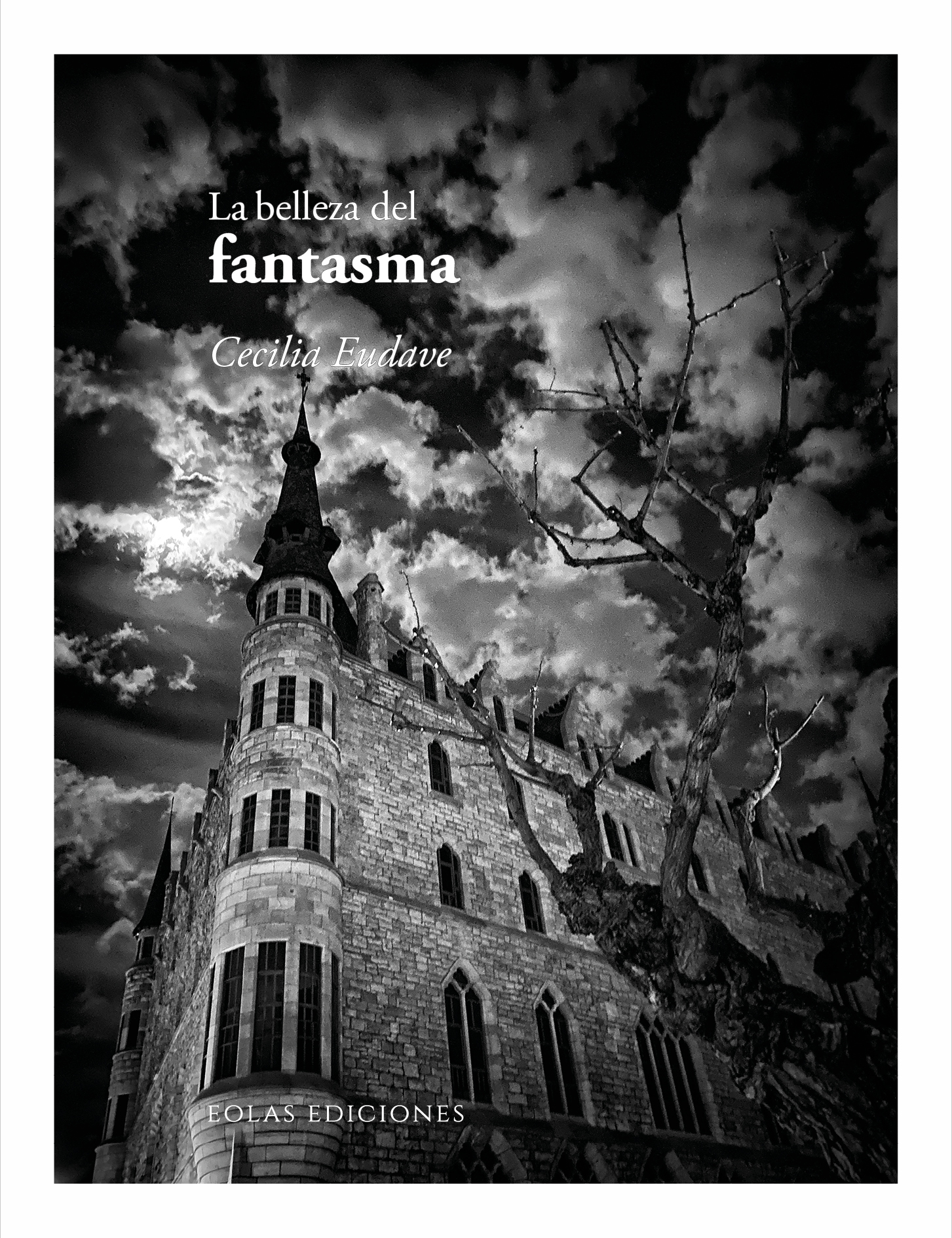 La belleza del fantasma