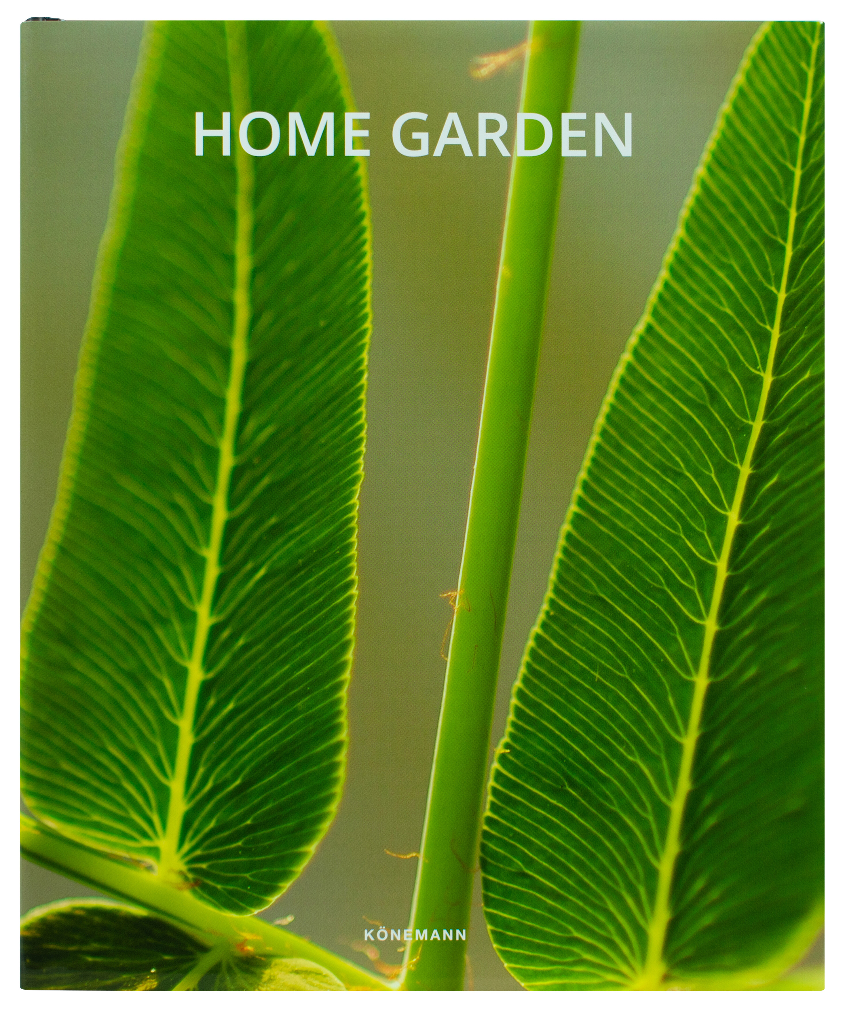 Fat Ferdy: Home Garden