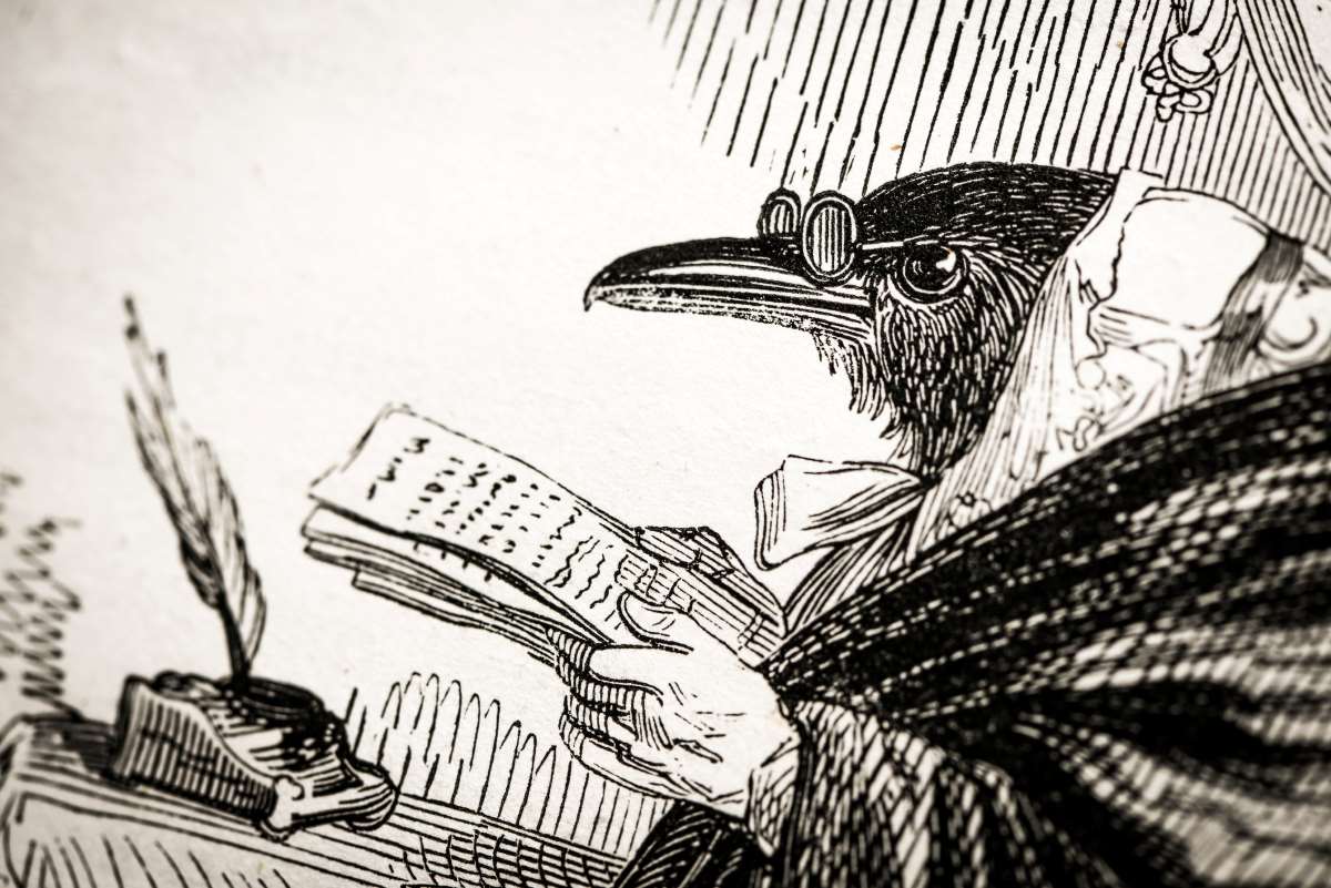 Reediciones y rescate literario: ¿vale la pena eludir al olvido?