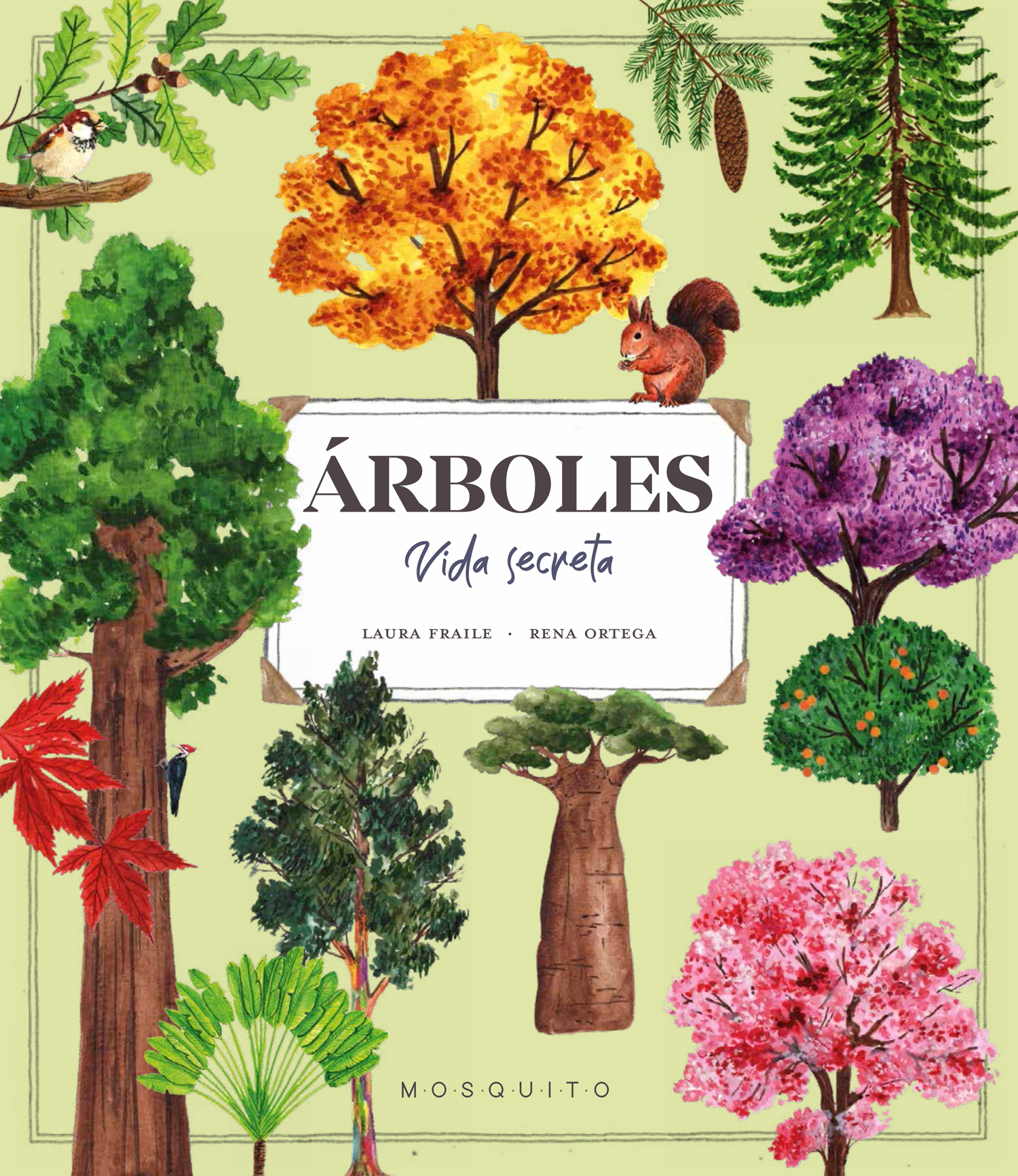 Árboles