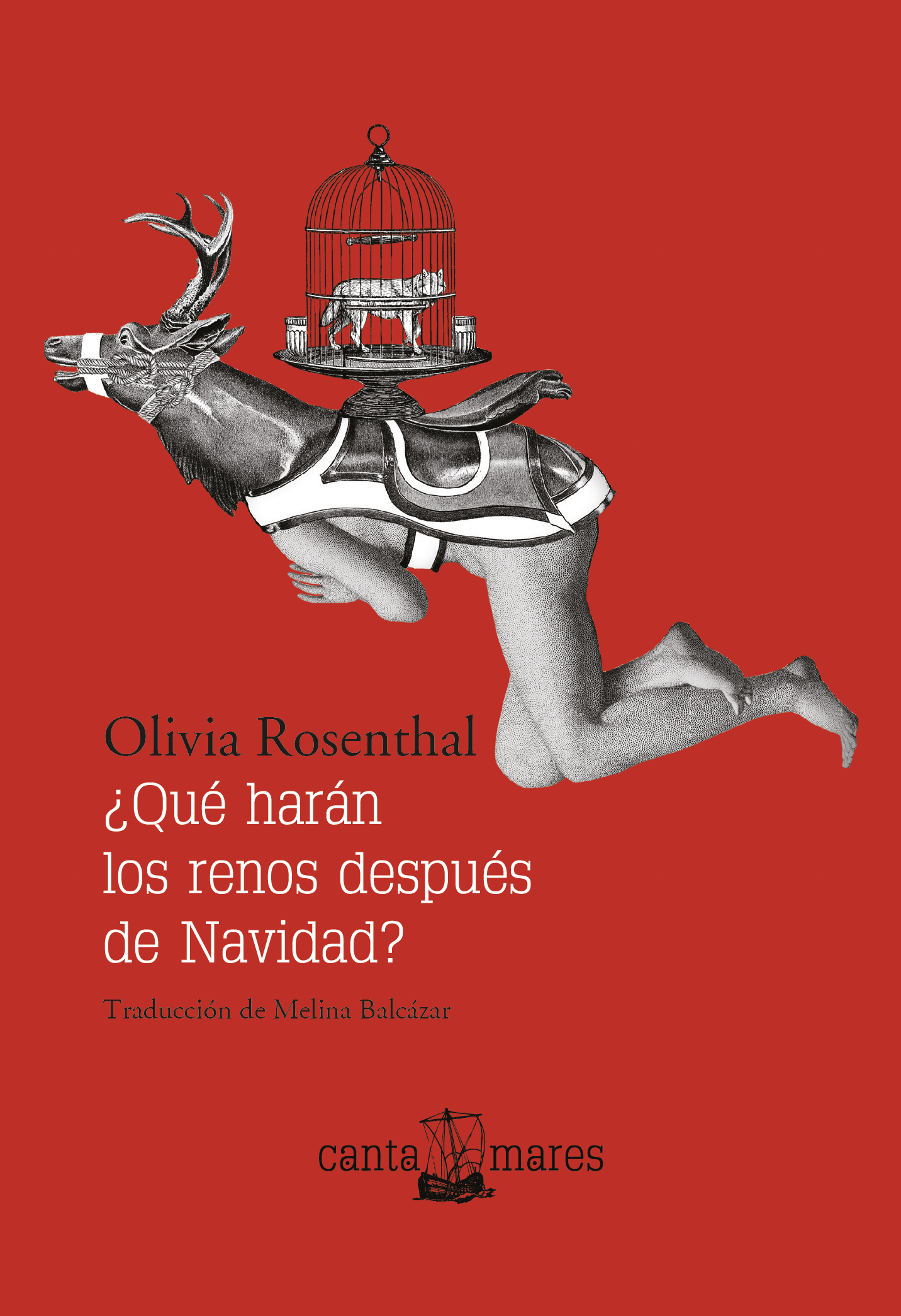 ¿Qué harán los renos después de Navidad?