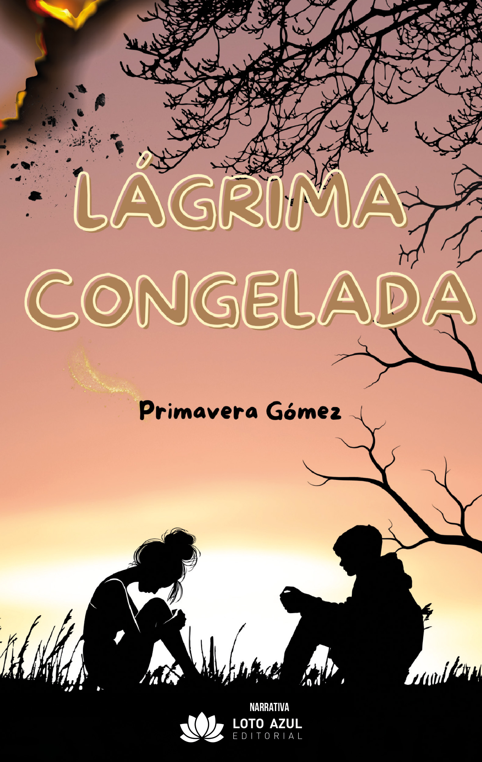Lágrima congelada