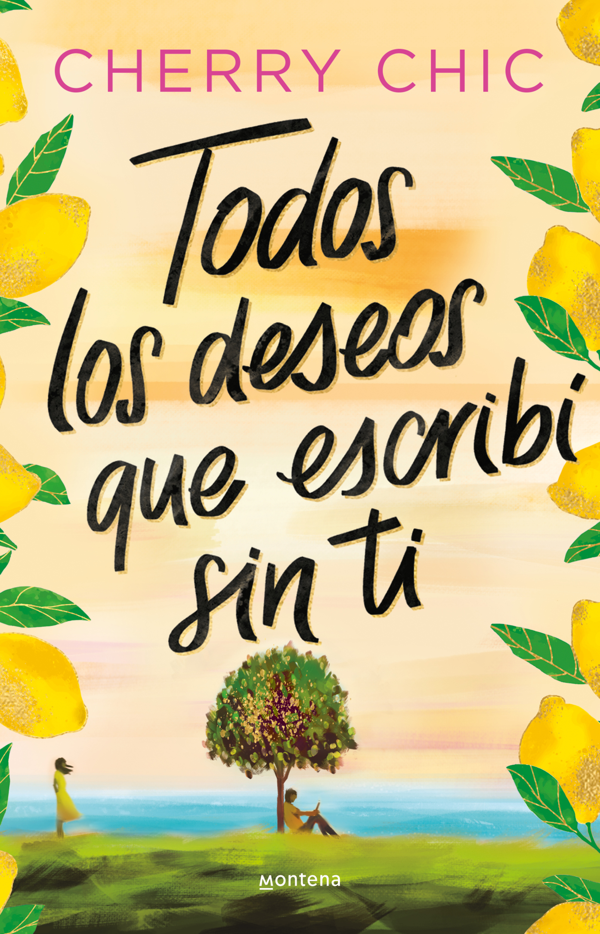 Todos los deseos que escribí sin ti