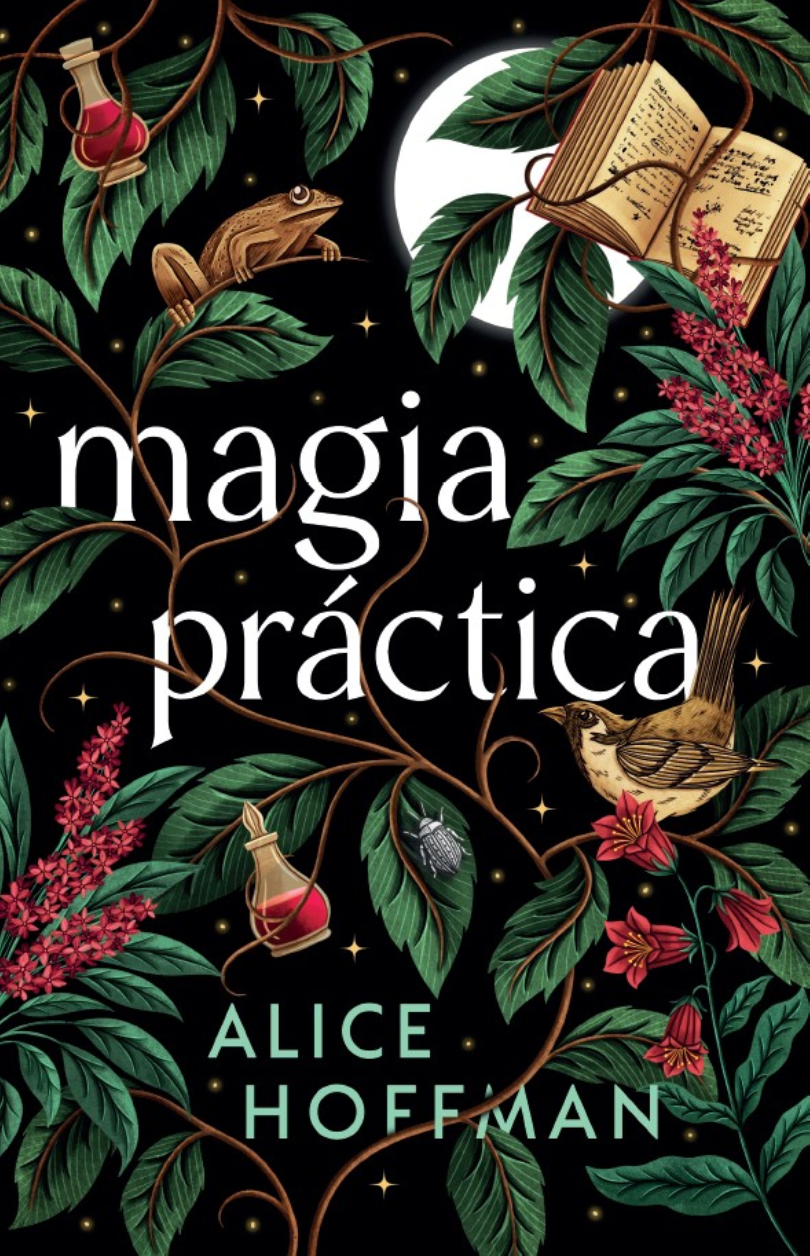 Magia práctica