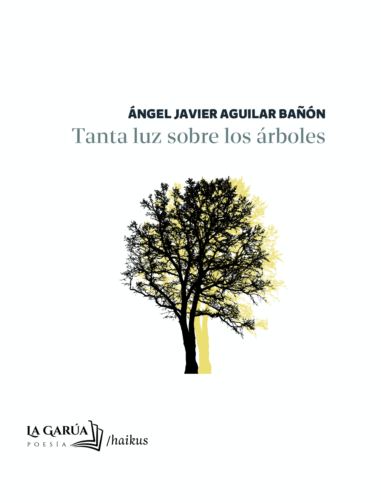 Tanta luz sobre los árboles