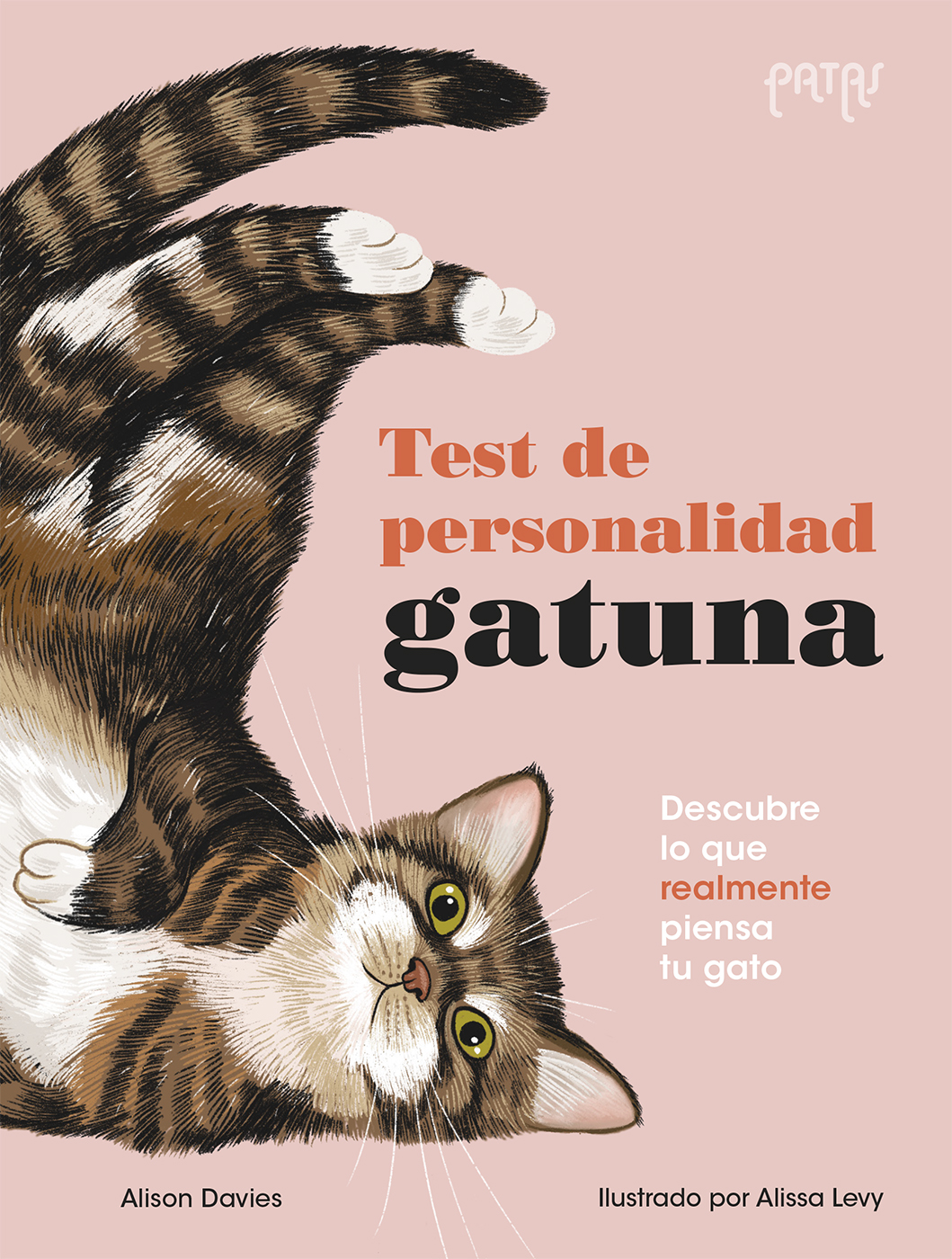 Test de personalidad gatuna