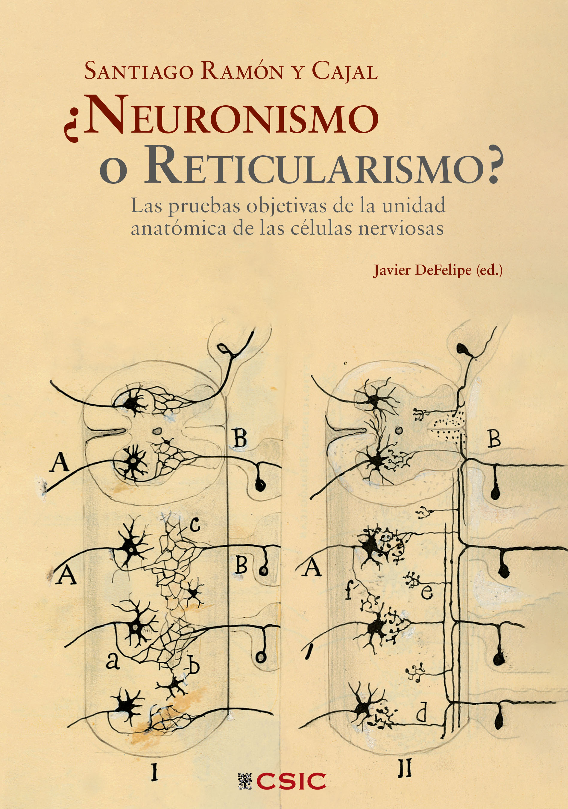 Santiago Ramón y Cajal ¿Neuronismo o Reticularismo?