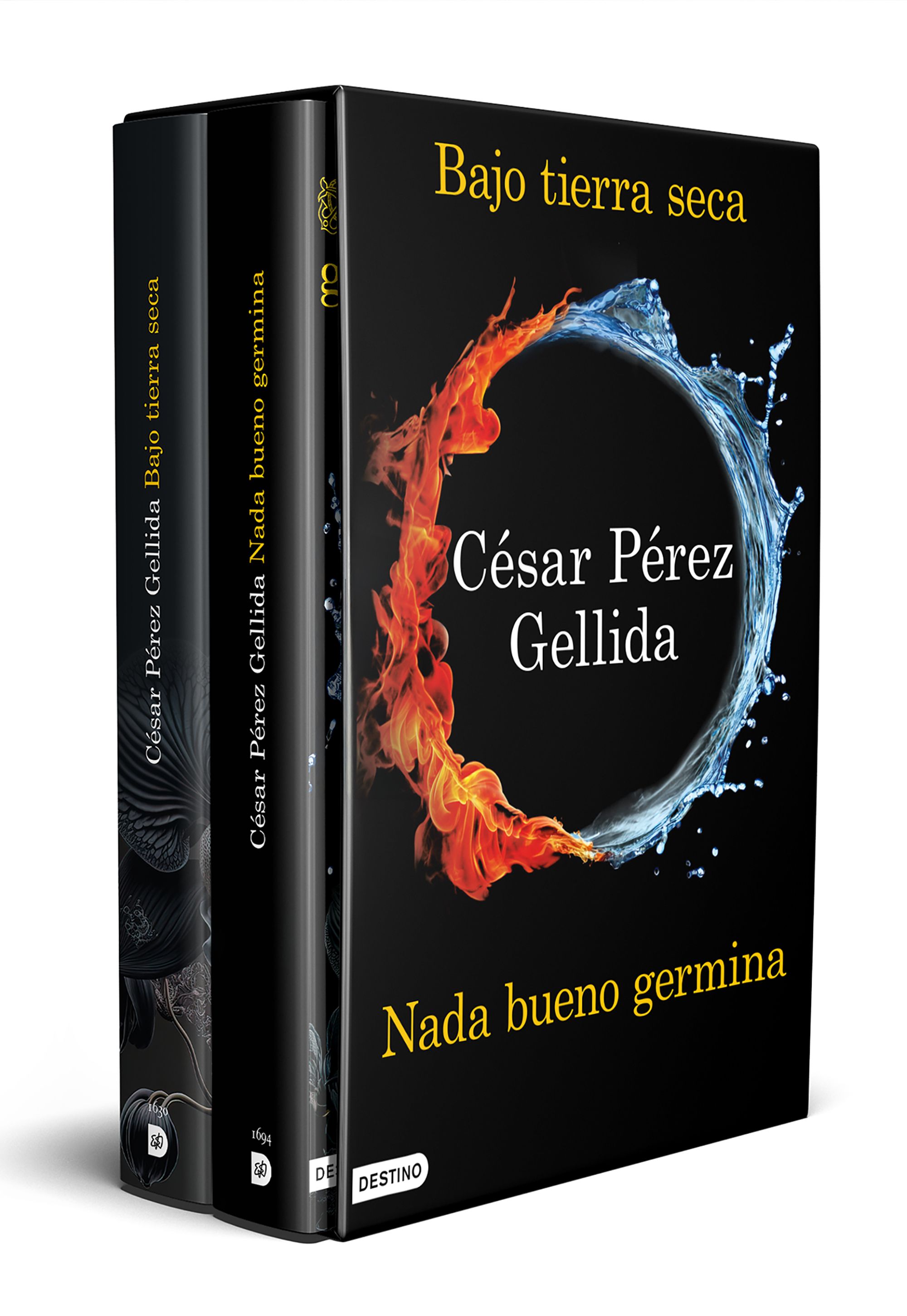 Estuche Bajo tierra seca nada bueno germina