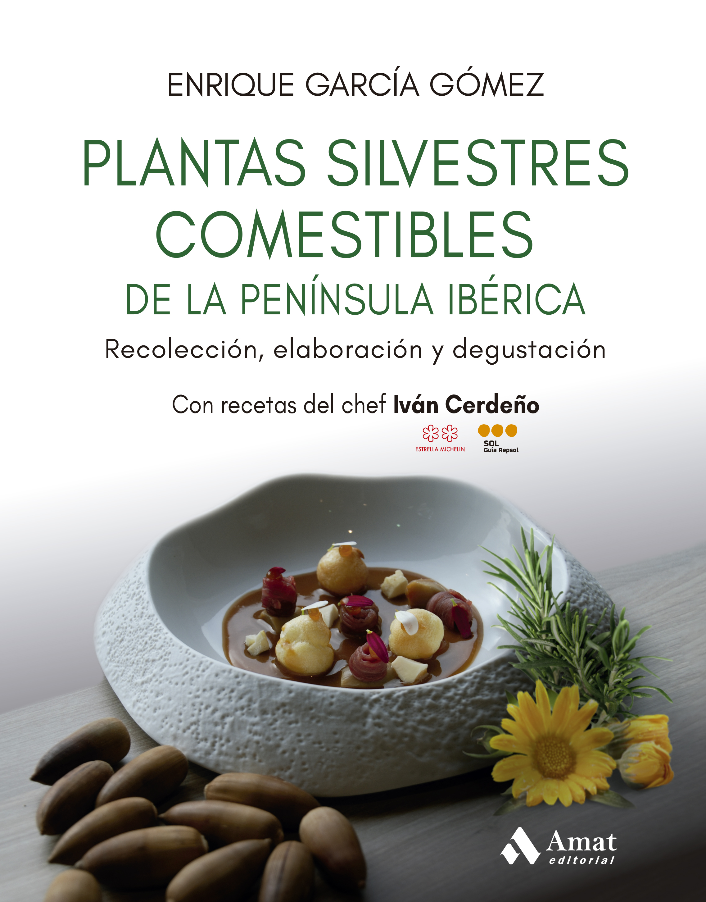 Plantas silvestres comestibles de la península ibérica