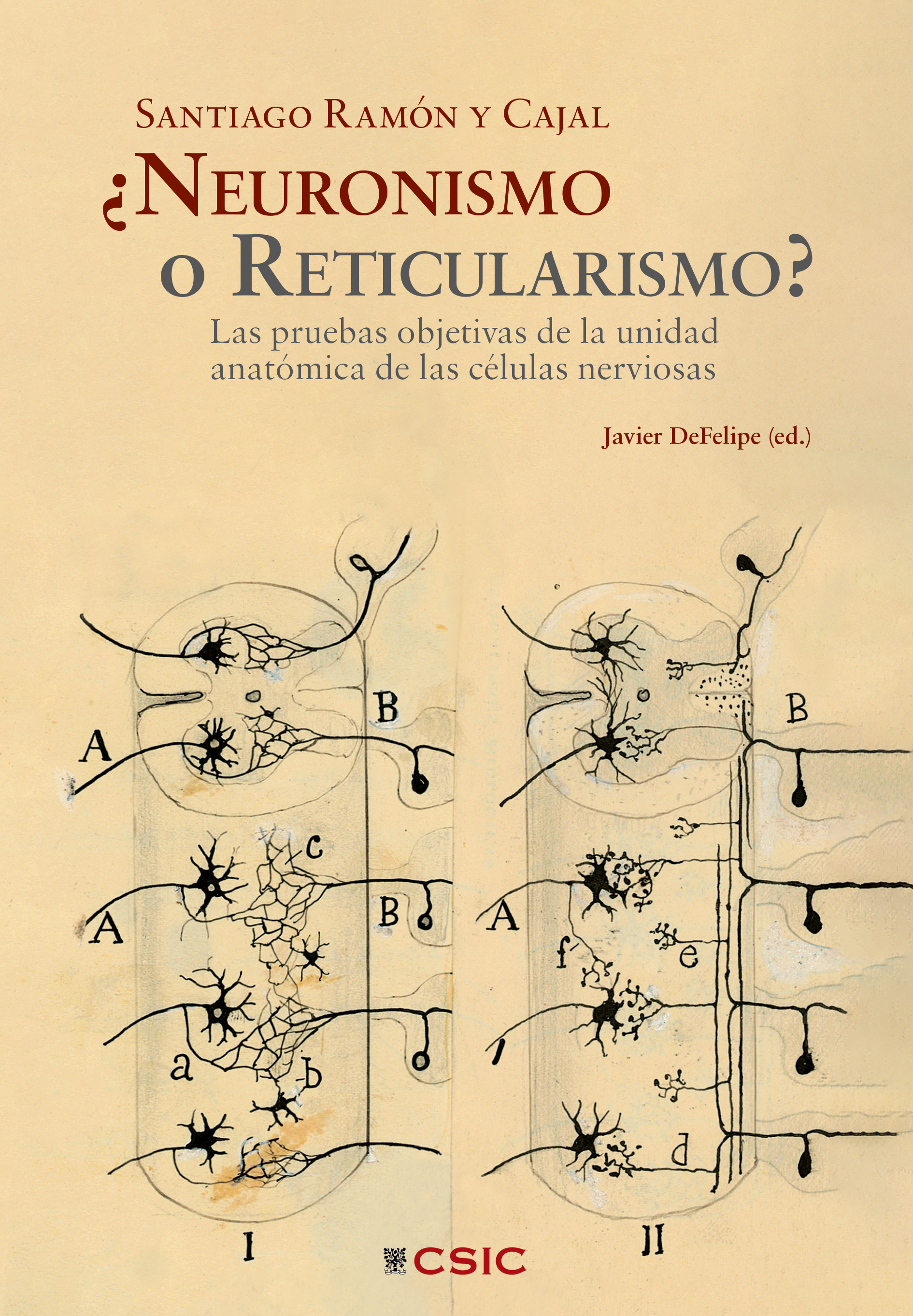 ¿Neuronismo o reticularismo?