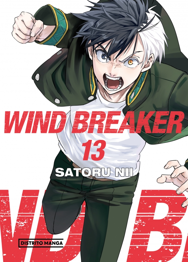 Wind Breaker 13