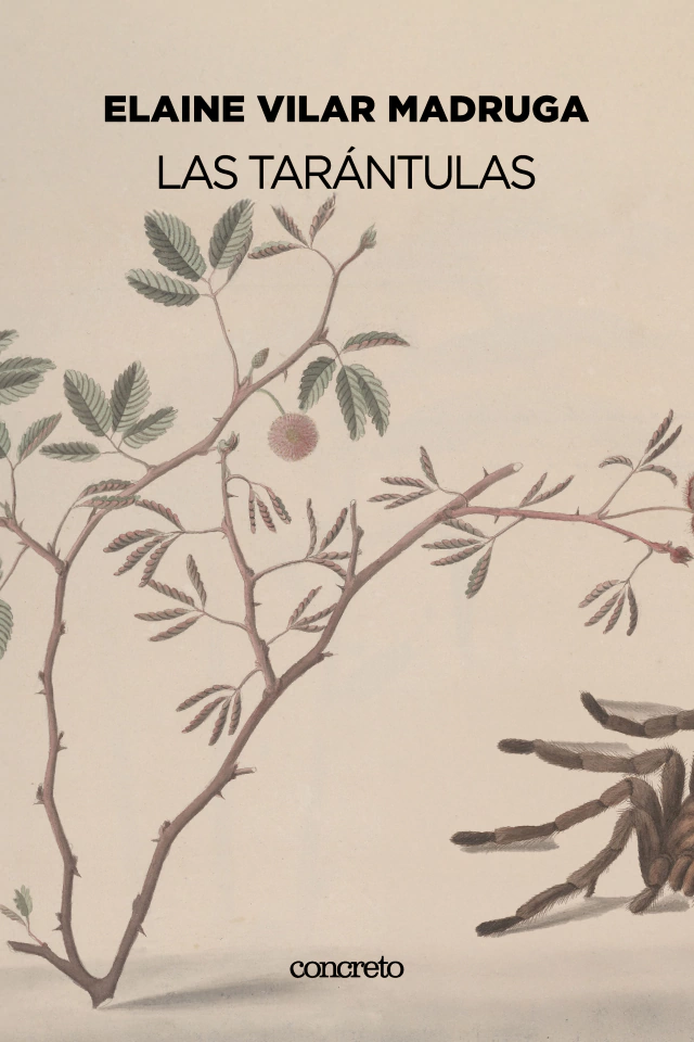 Las tarántulas