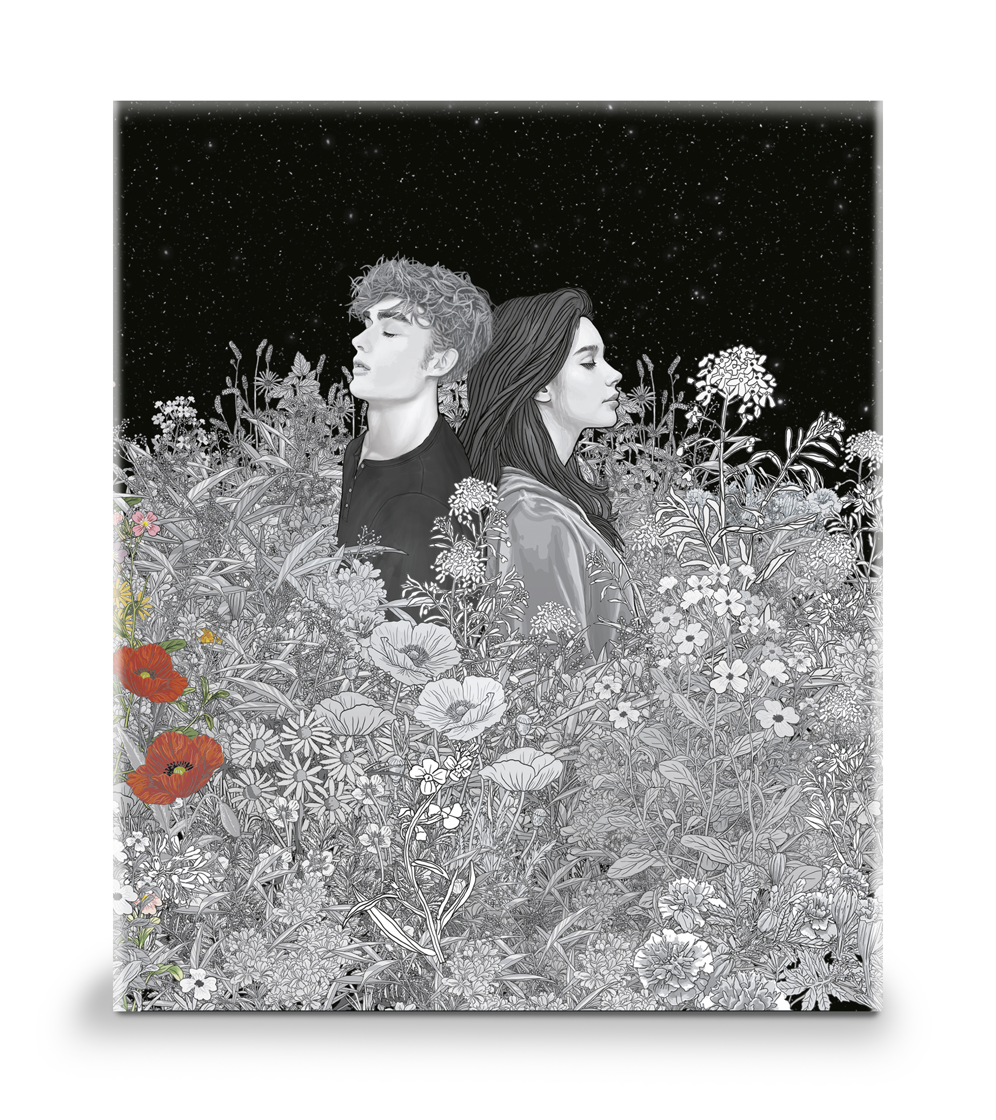 Estuche Saga Crepúsculo (contiene: Crepúsculo, Luna nueva, Eclipse y Amanecer)