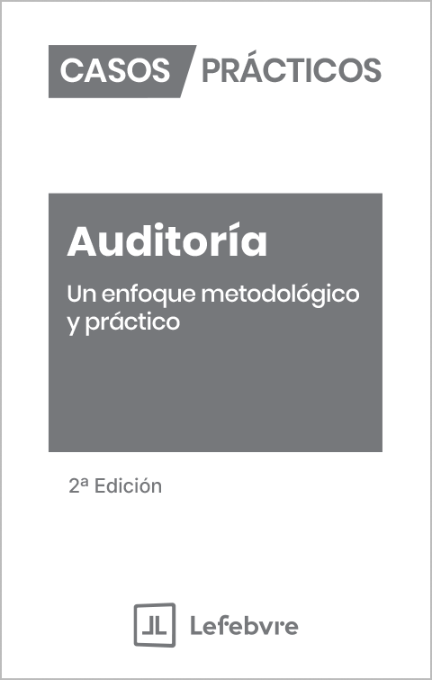 Casos Prácticos Auditoría. Un enfoque metodológico y práctico 2ª Edición