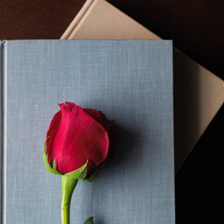 Cinco libros que no son de amor para regalar en San Valentín