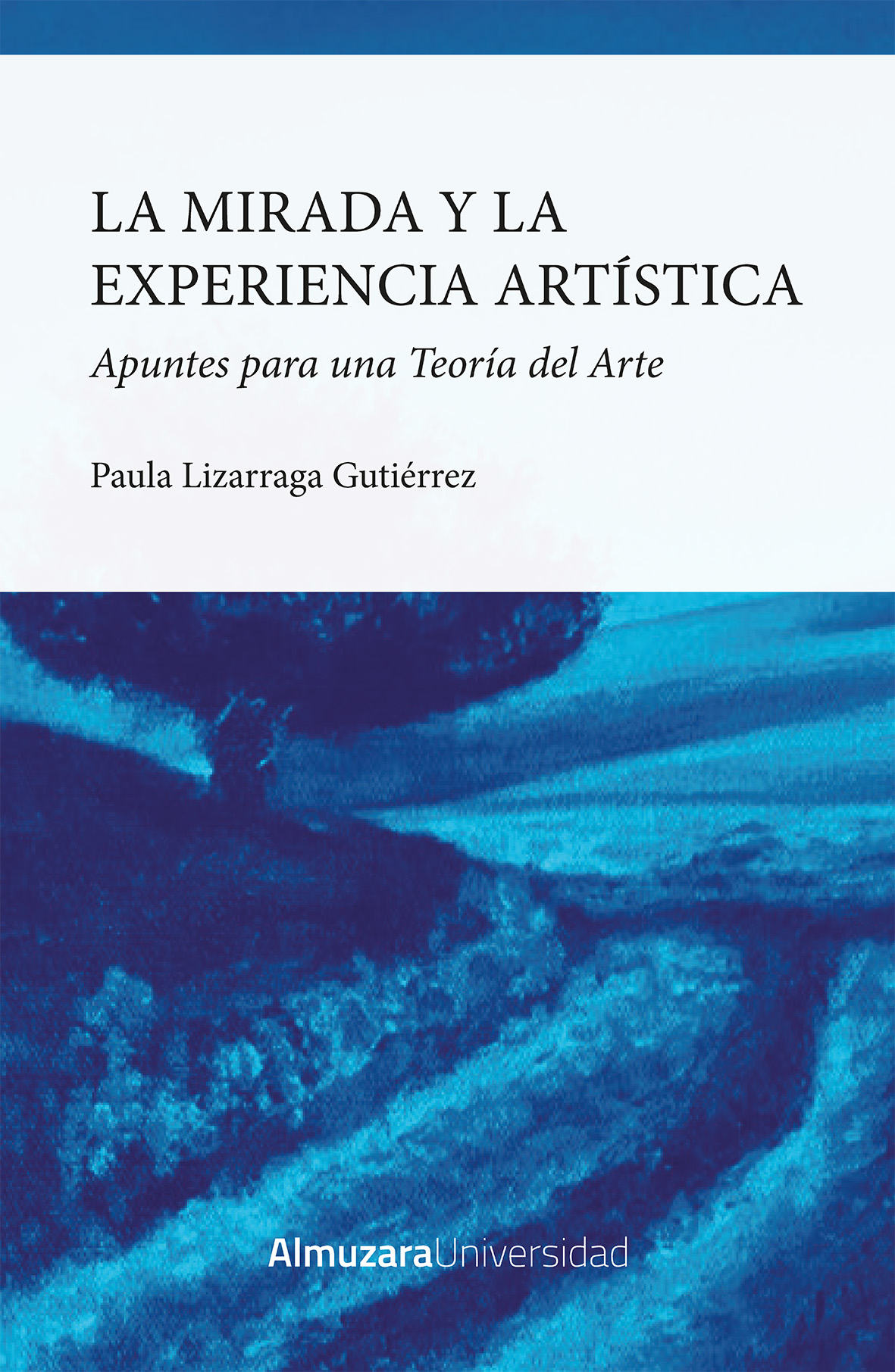 La mirada y la experiencia artística