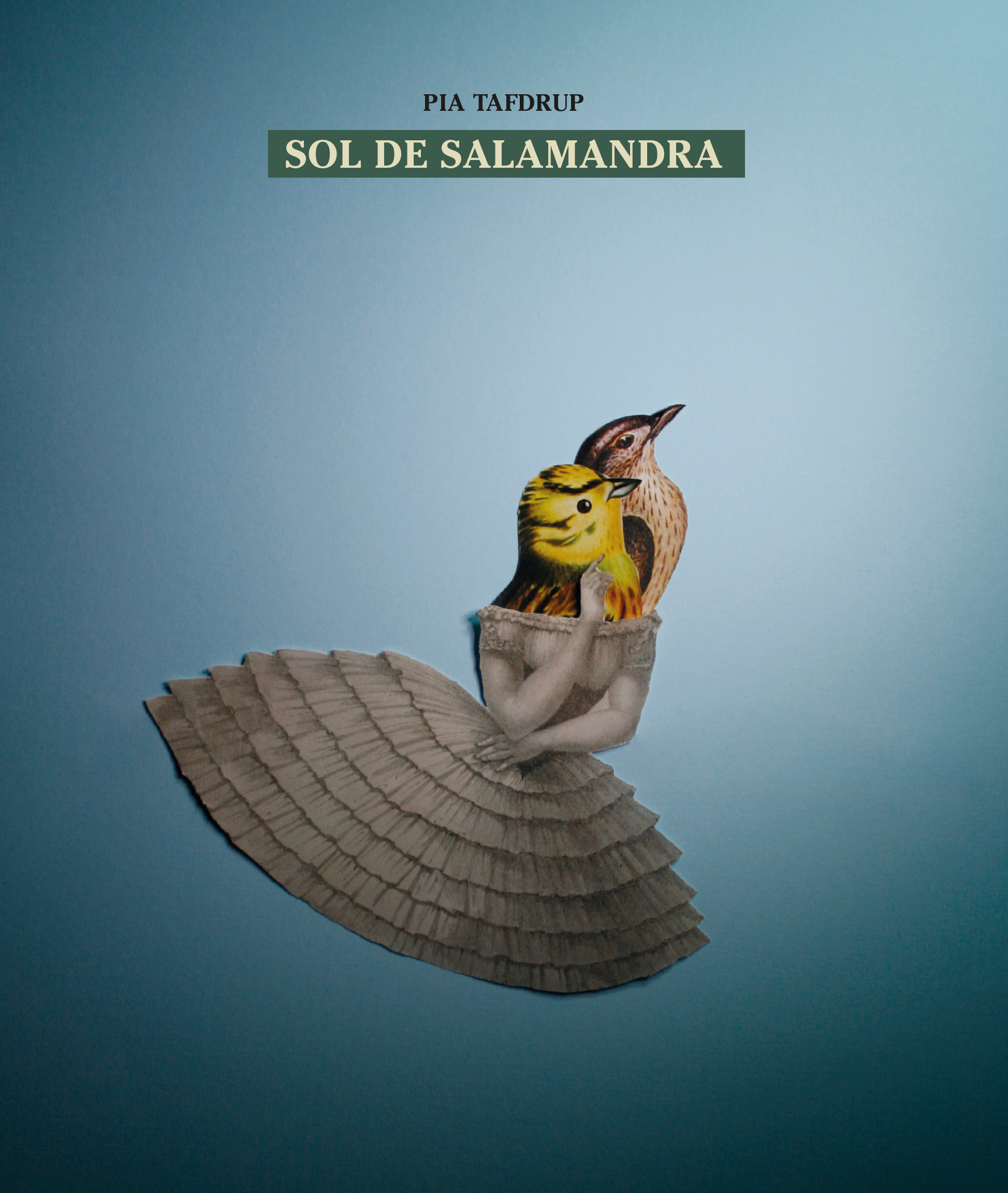 Sol de salamandra