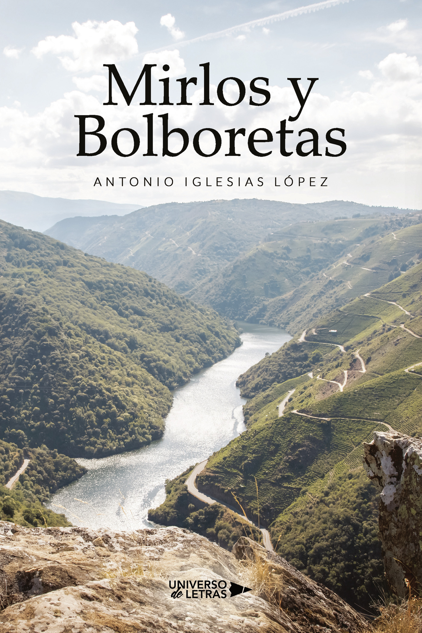 Mirlos y Bolboretas