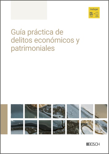 Guía práctica de delitos económicos y patrimoniales