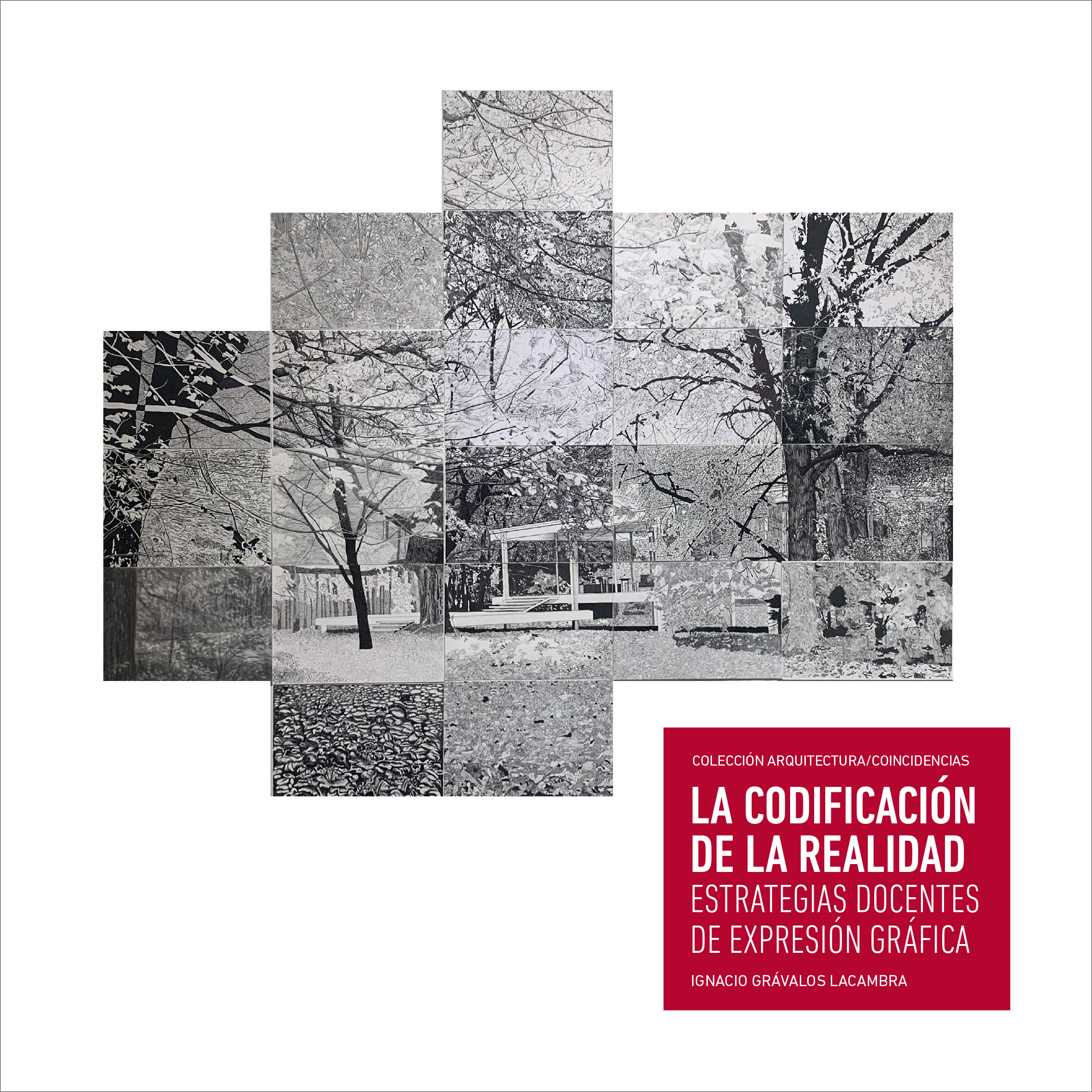 La codificación de la realidad