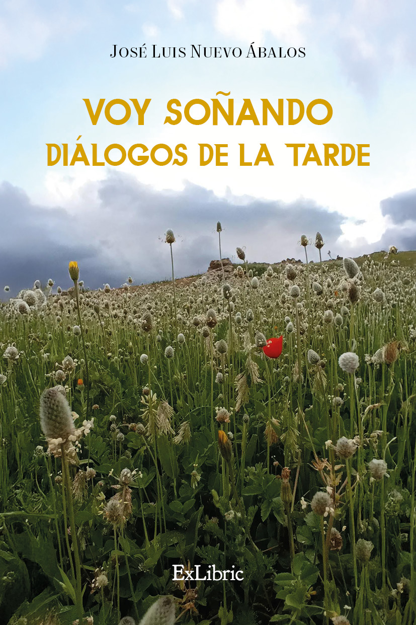 Voy soñando diálogos de la tarde