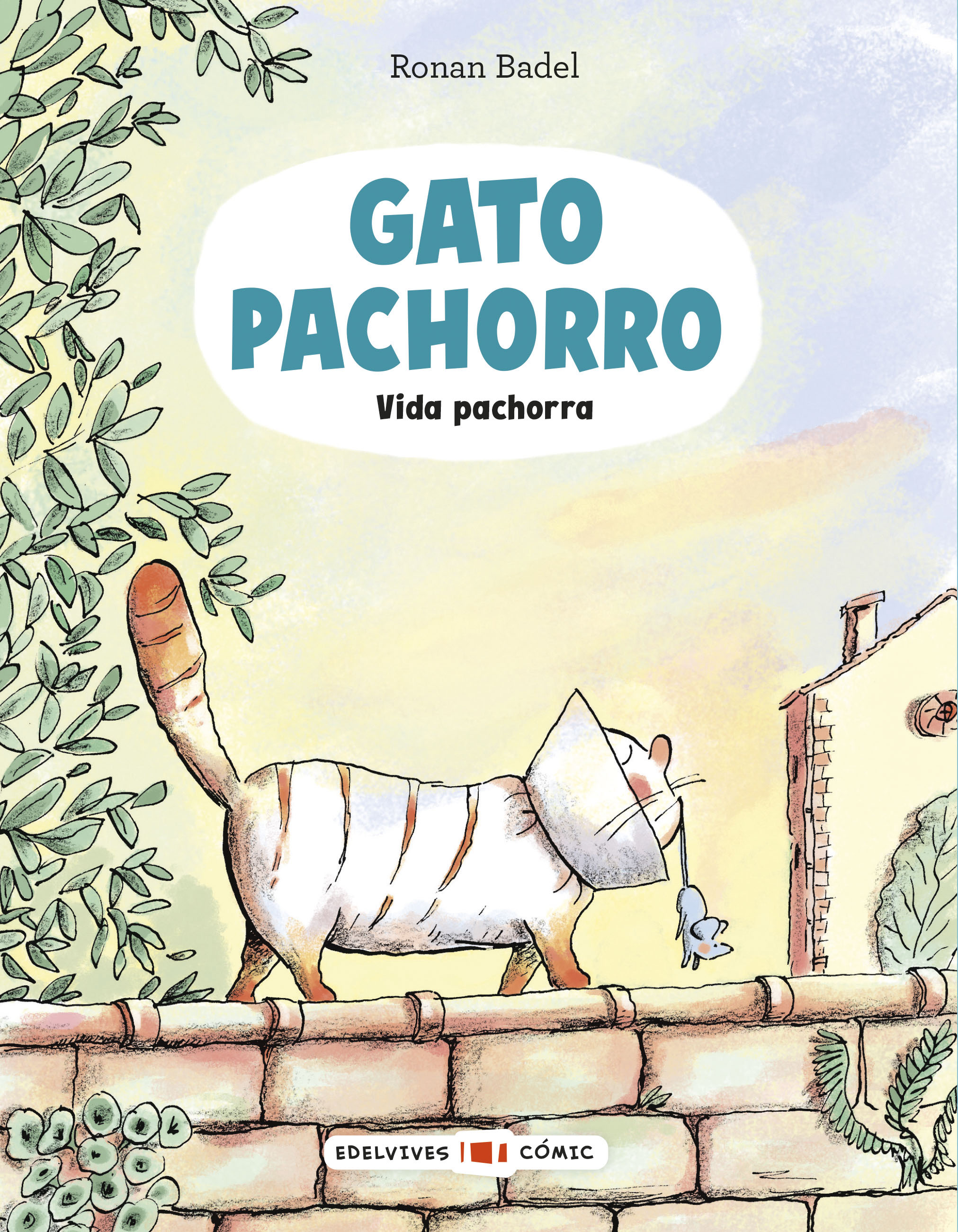 Gato Pachorro : Vida pachorra