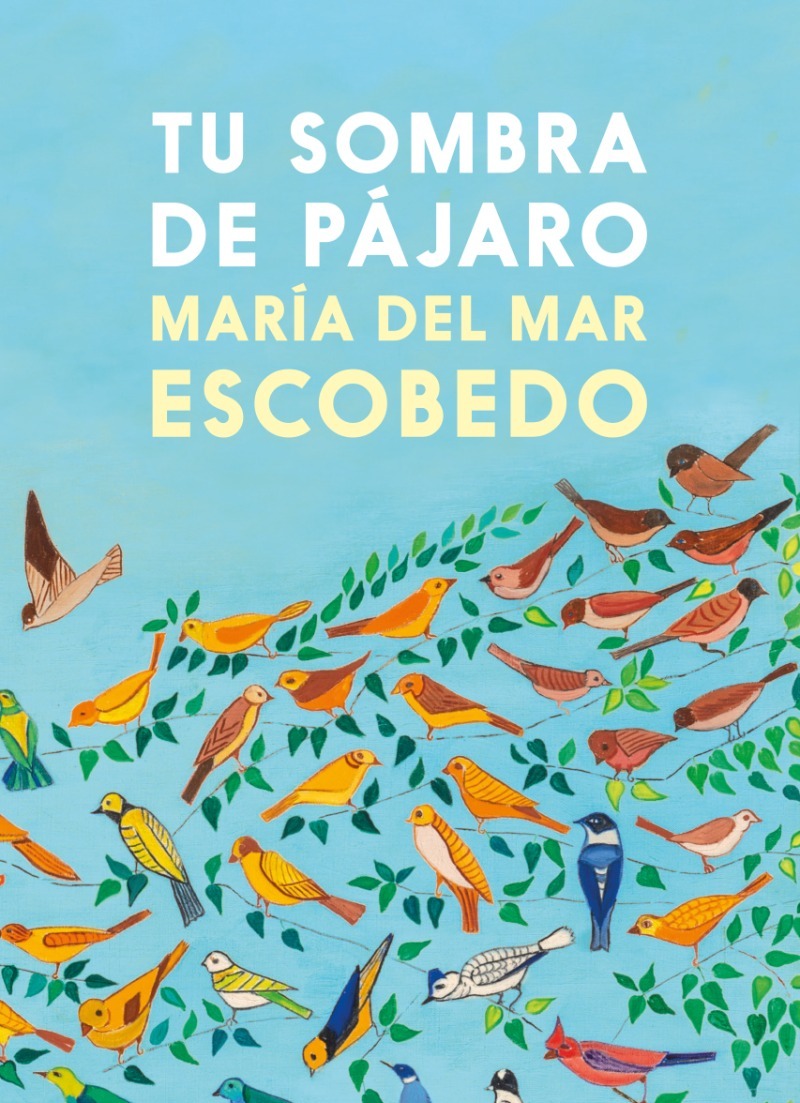 Tu sombra de pájaro
