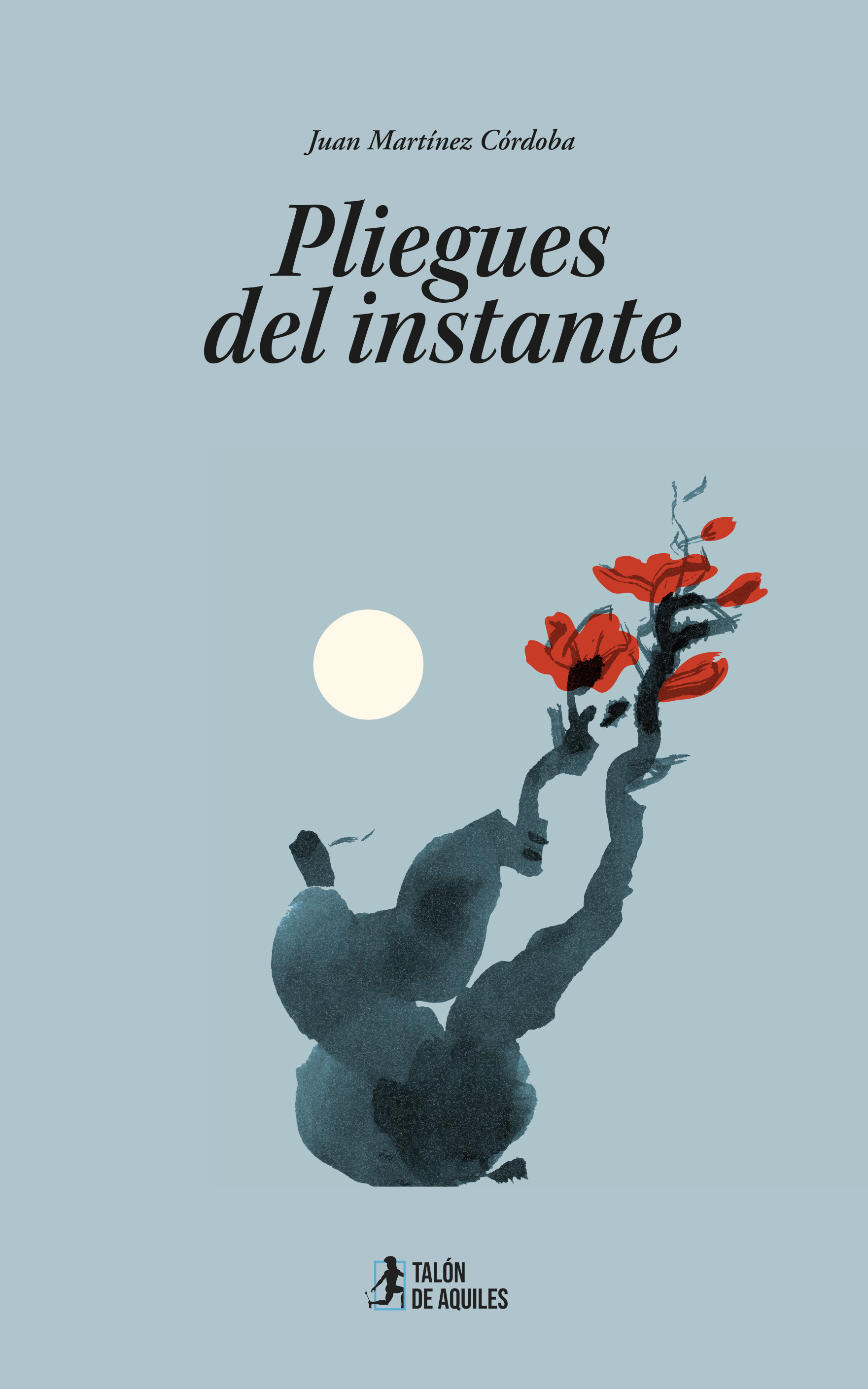 Pliegues del instante