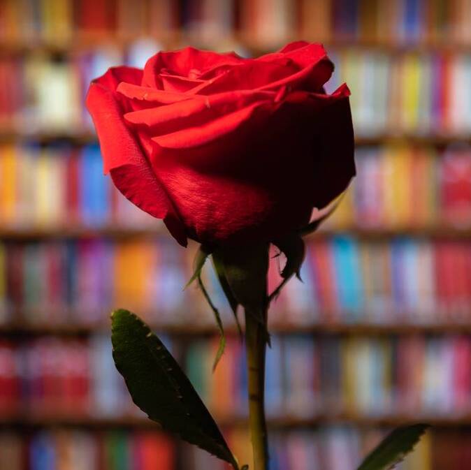 Los cinco libros revelación del año para regalar en Sant Jordi