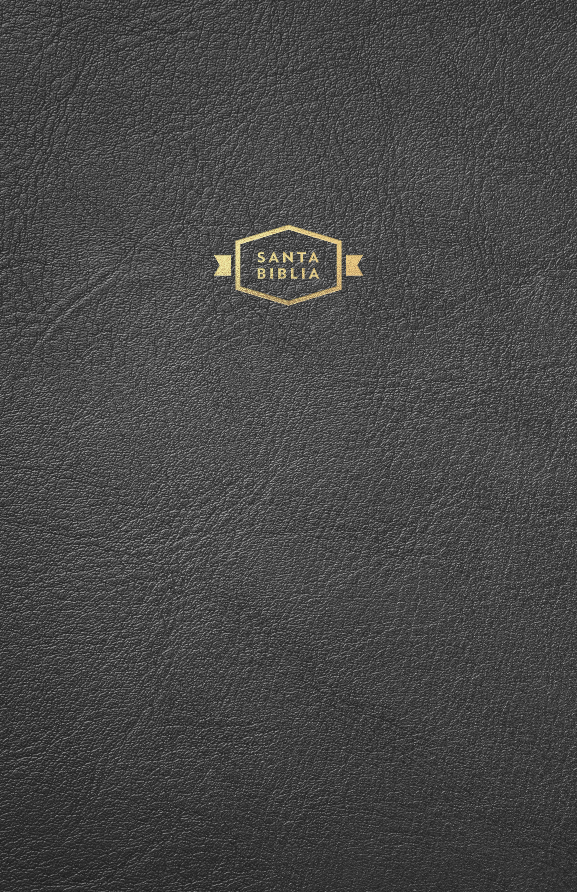 Biblia RVR 1960 para regalos y premios, Tapa dura, negra