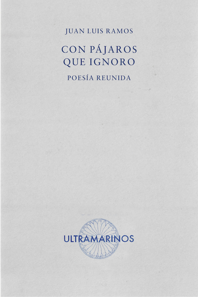 Con pájaros que ignoro