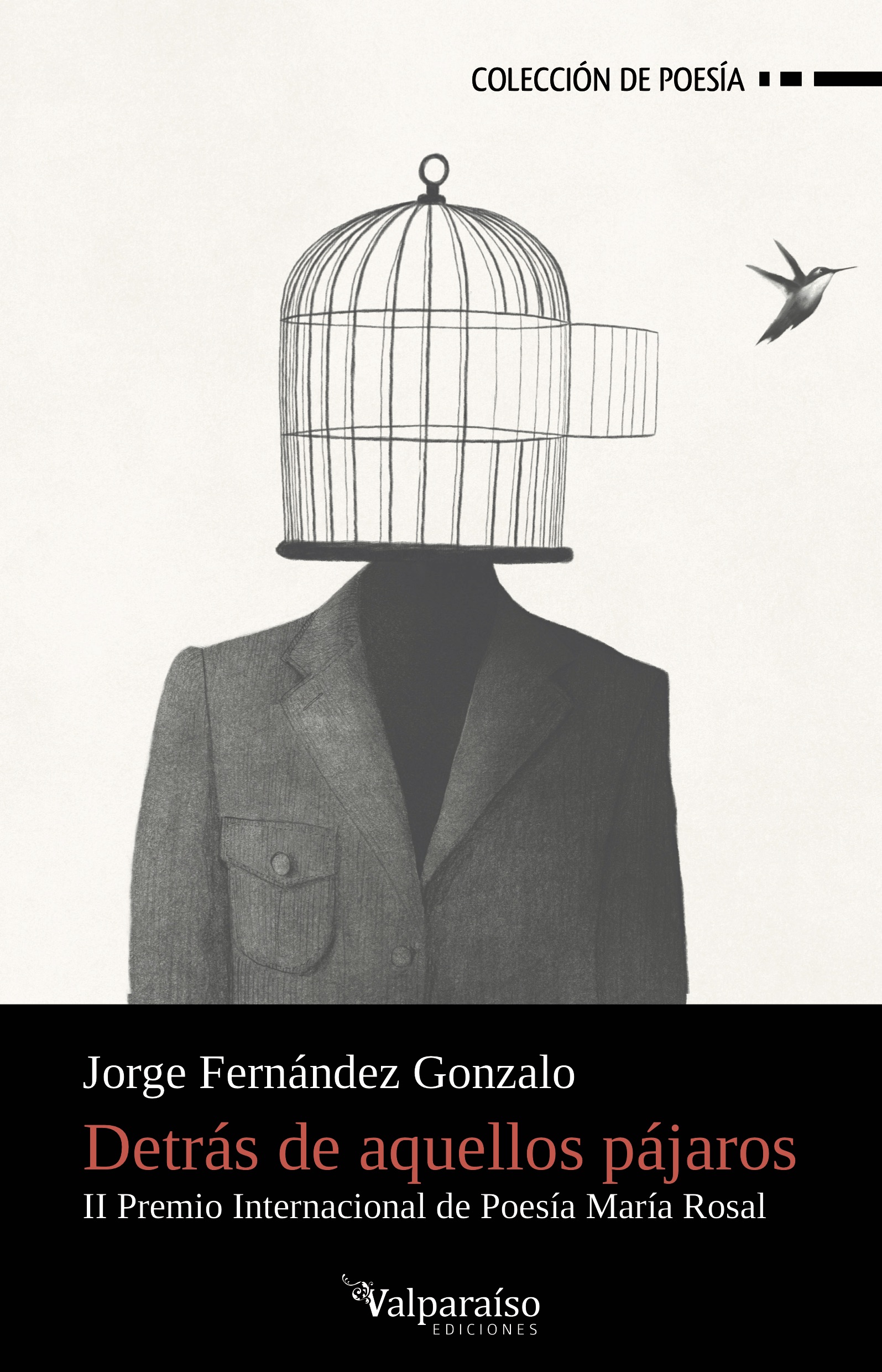 Detrás de aquellos pájaros