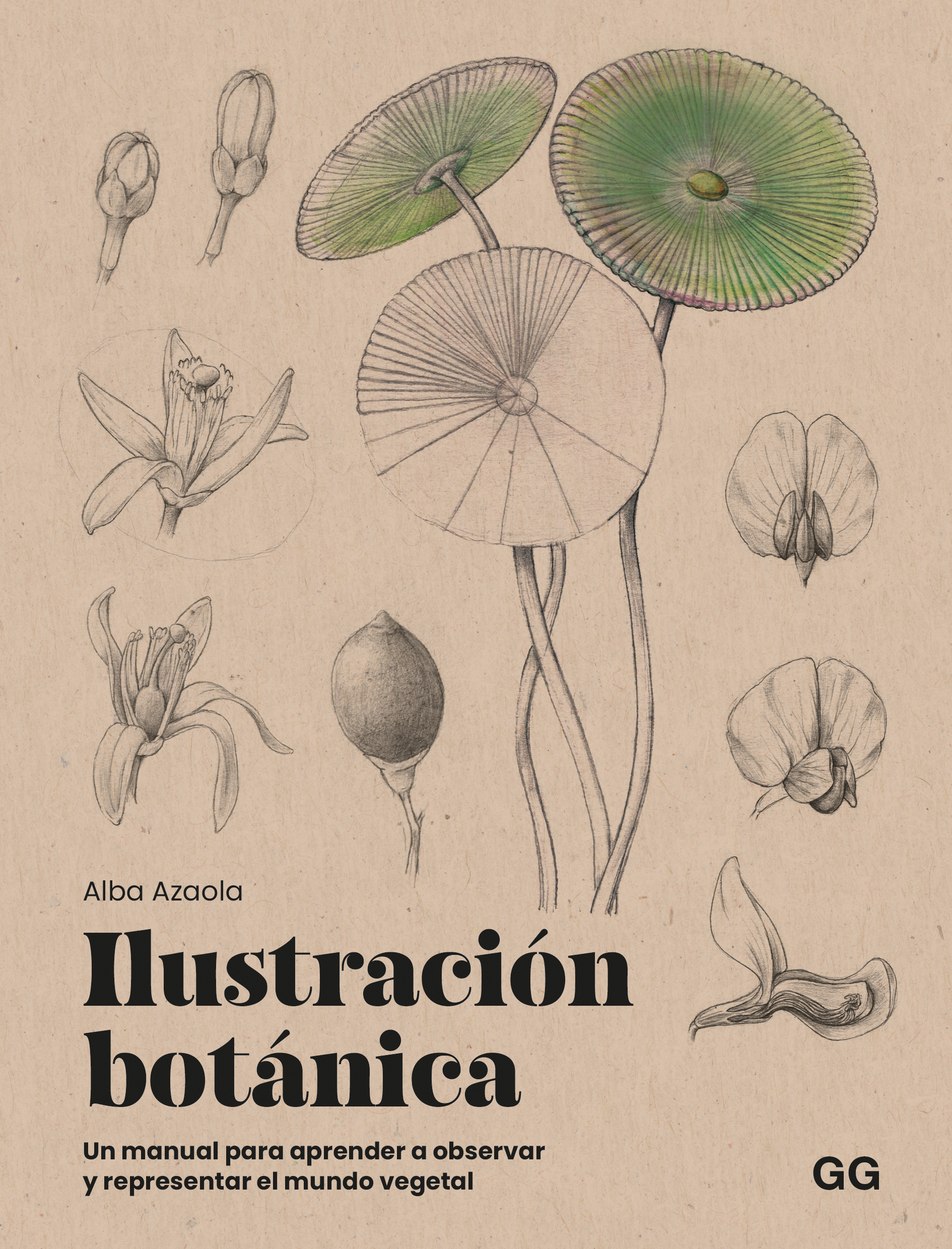Ilustración botánica