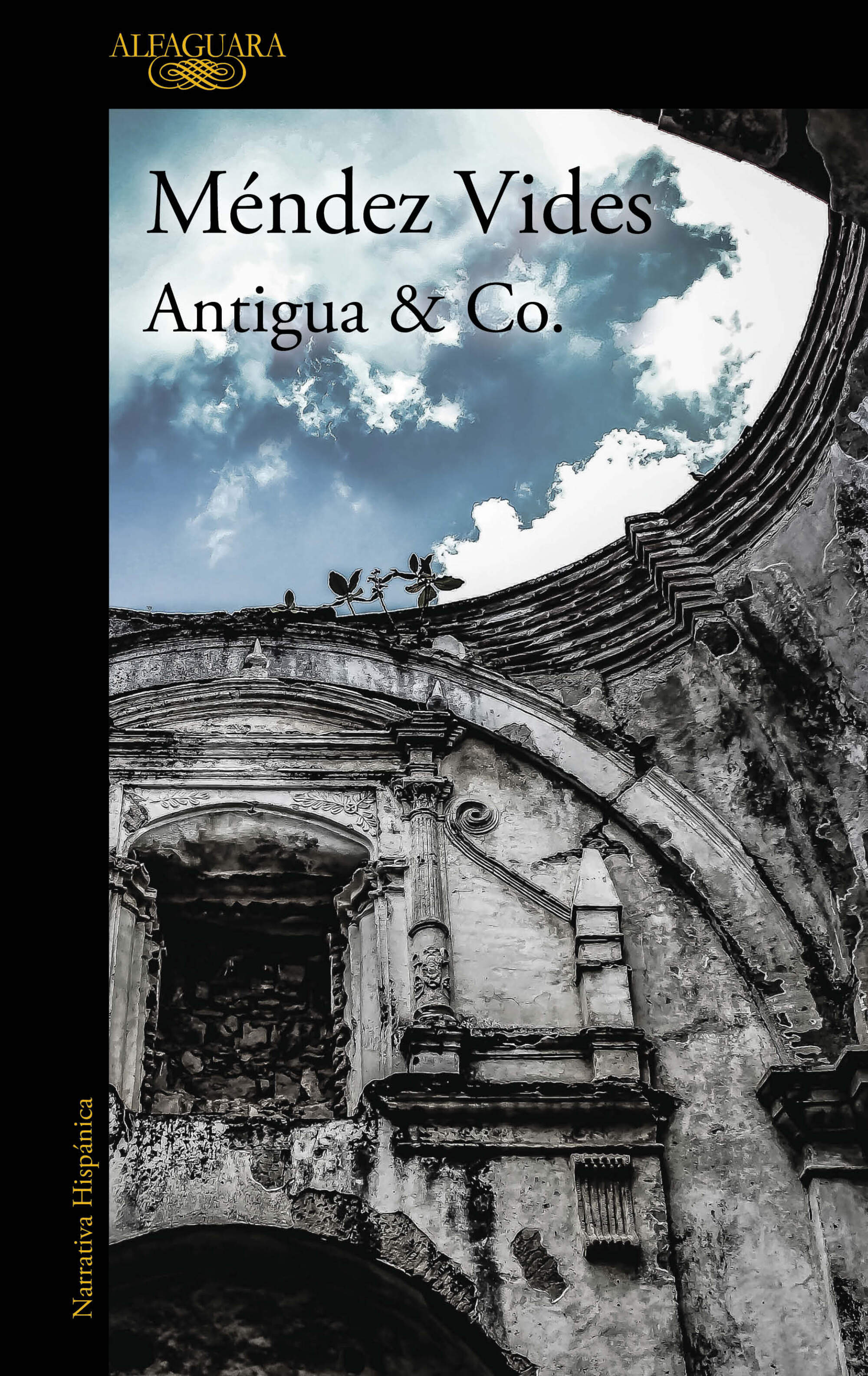 Antigua &amp; Co.