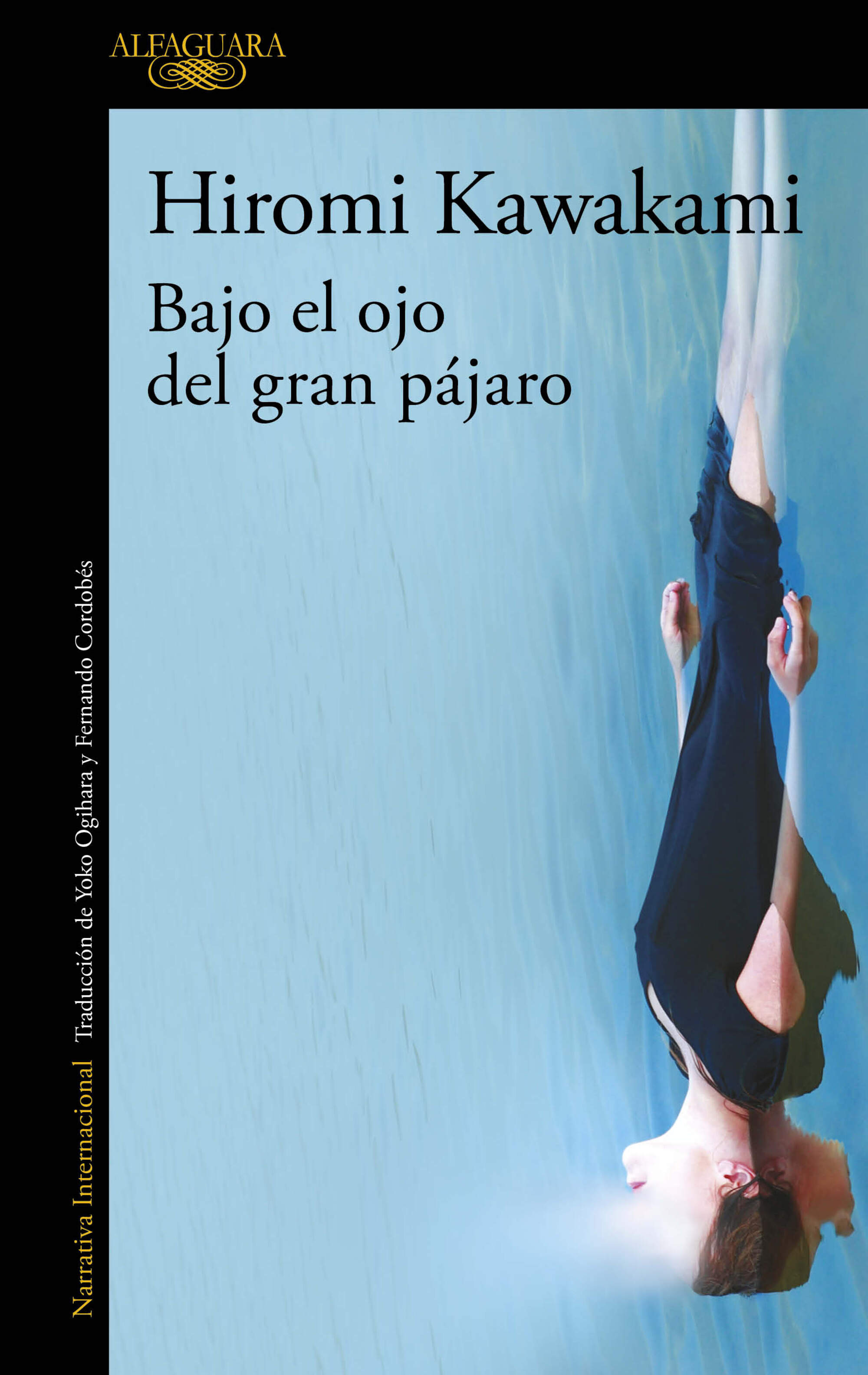 Bajo el ojo del gran pájaro