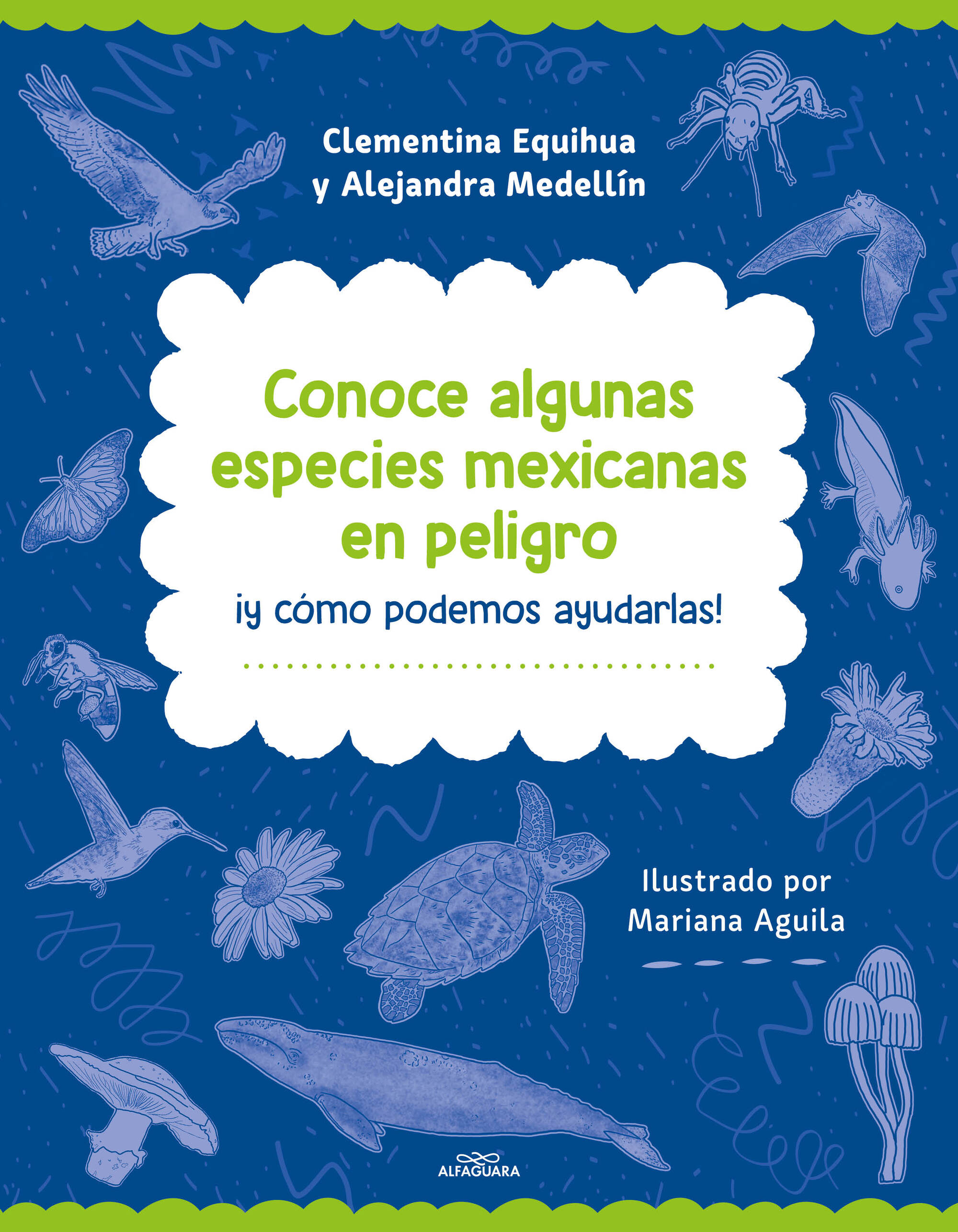 Conoce algunas especies mexicanas en peligro ¡y cómo ayudarlas!