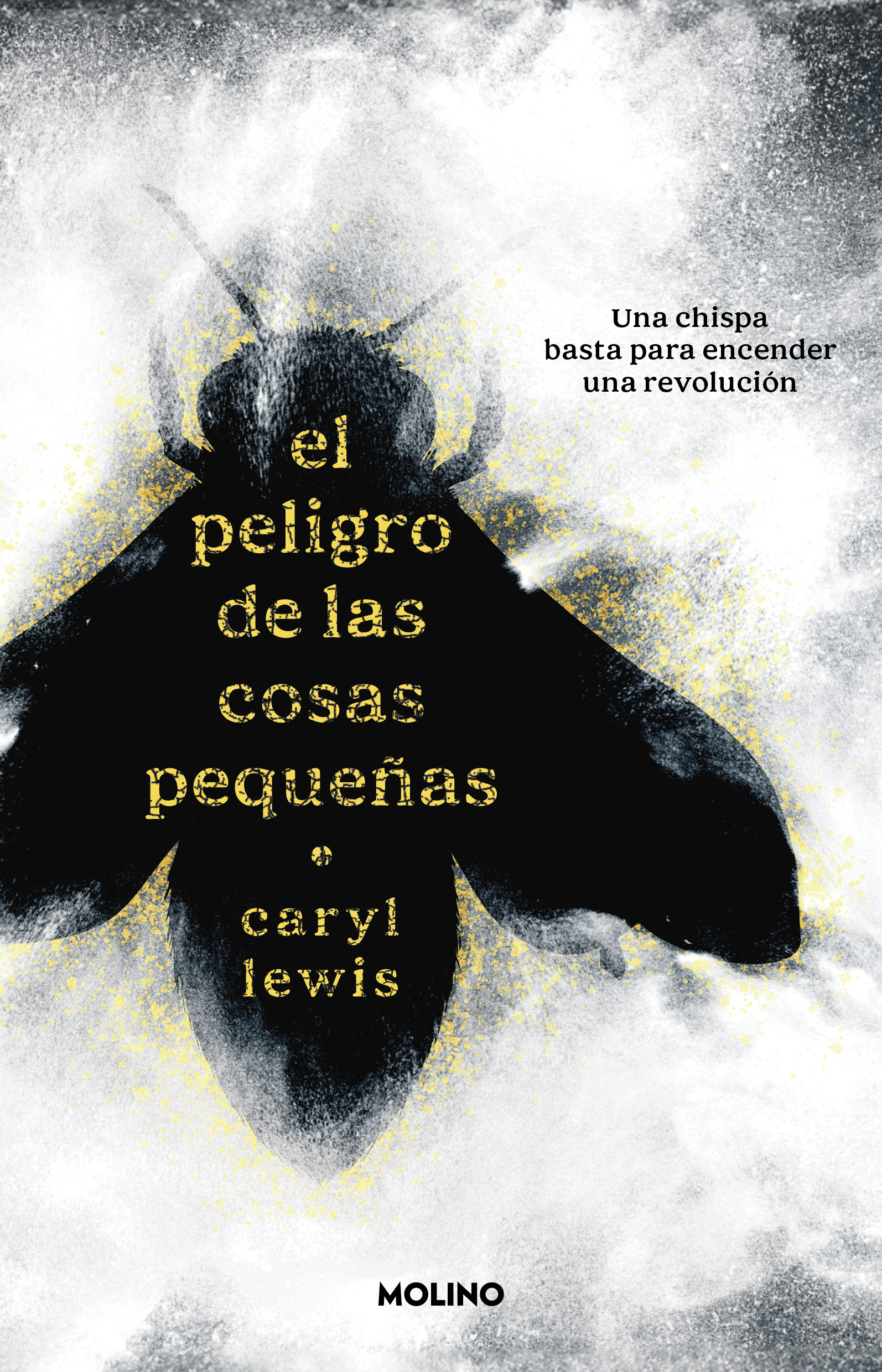 El peligro de las cosas pequeñas