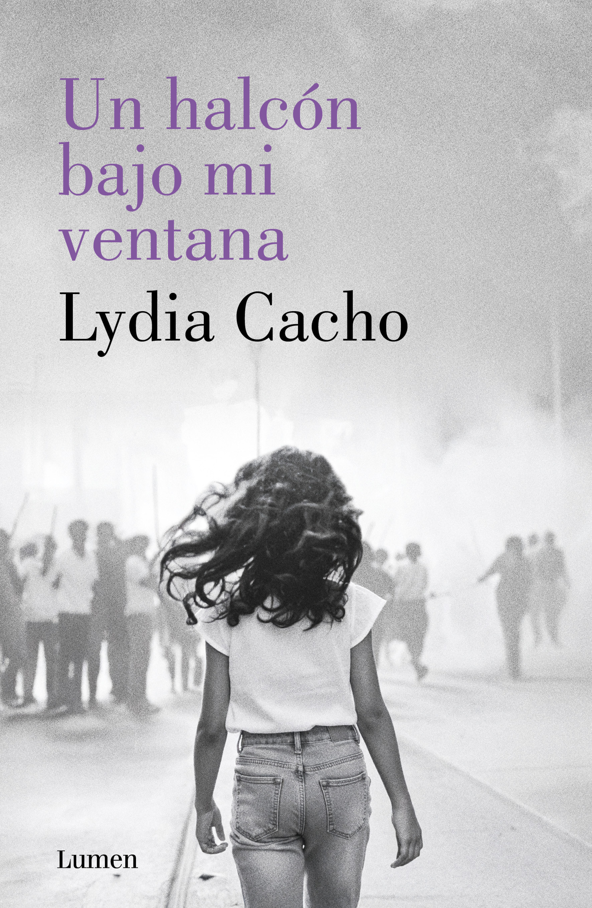 Un halcón bajo mi ventana